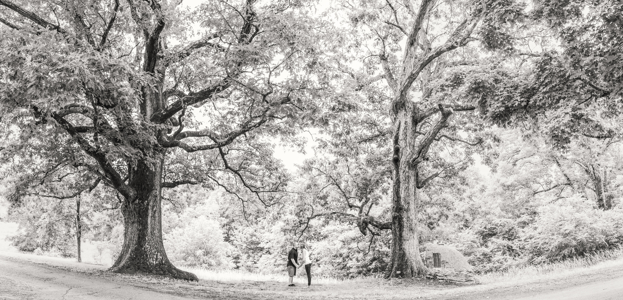 Canon EOS 5D + Canon EF 35mm F1.4L USM sample photo. Aubrey and nick photography