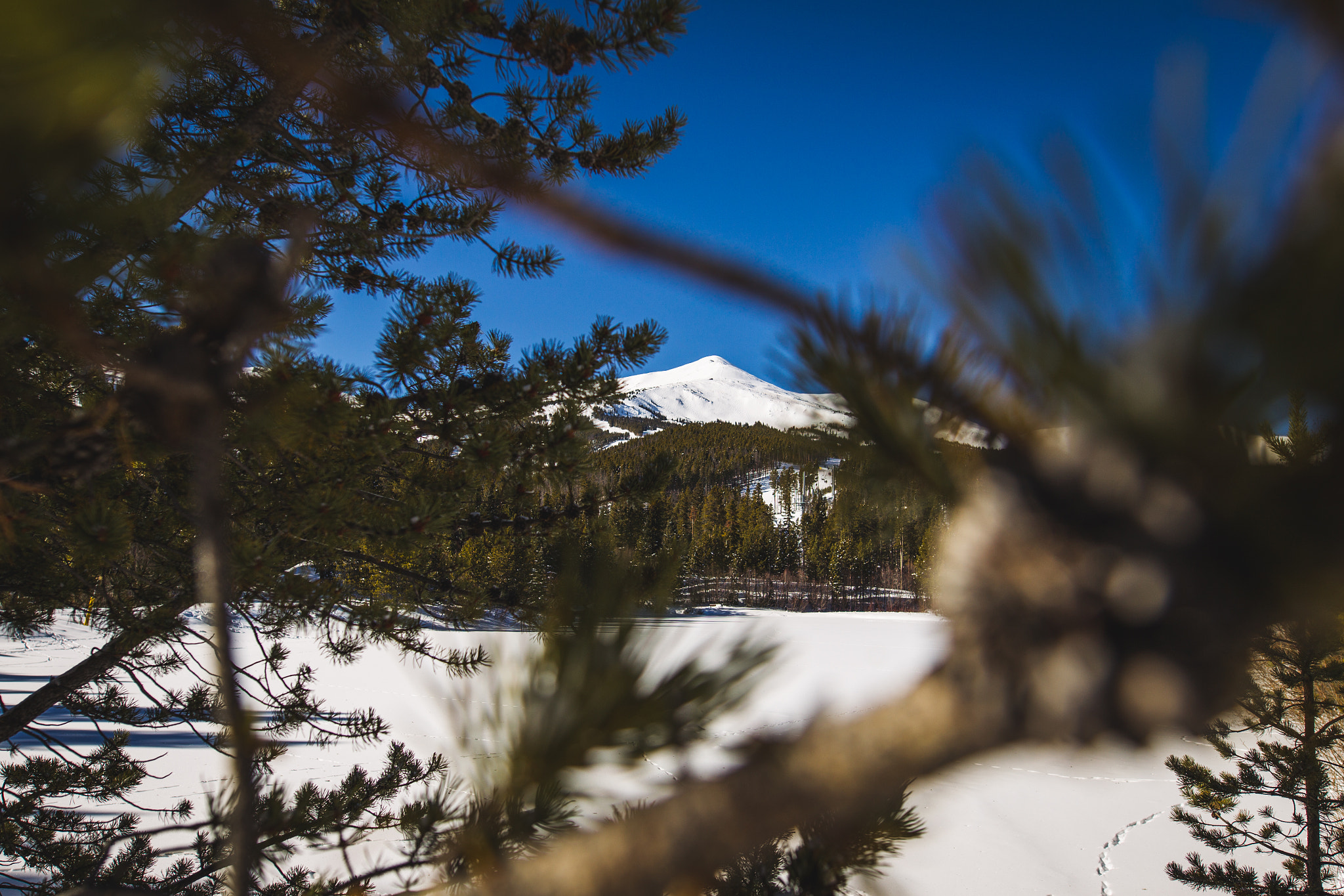 Sigma 20mm F1.4 DG HSM Art sample photo. Colorado mountain photography