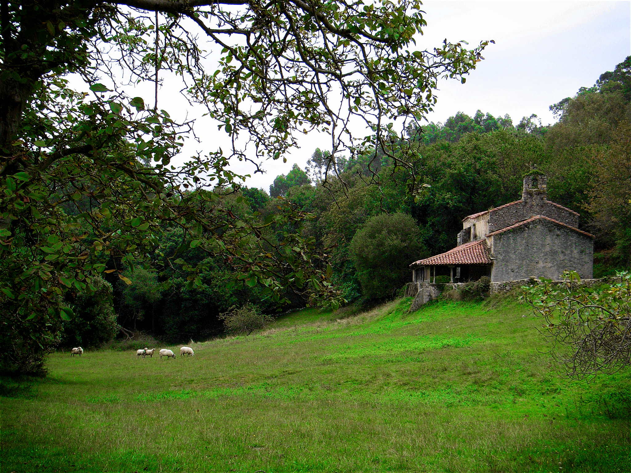 Ricoh Caplio R5 sample photo. Ermita (el pindal, asturias) photography