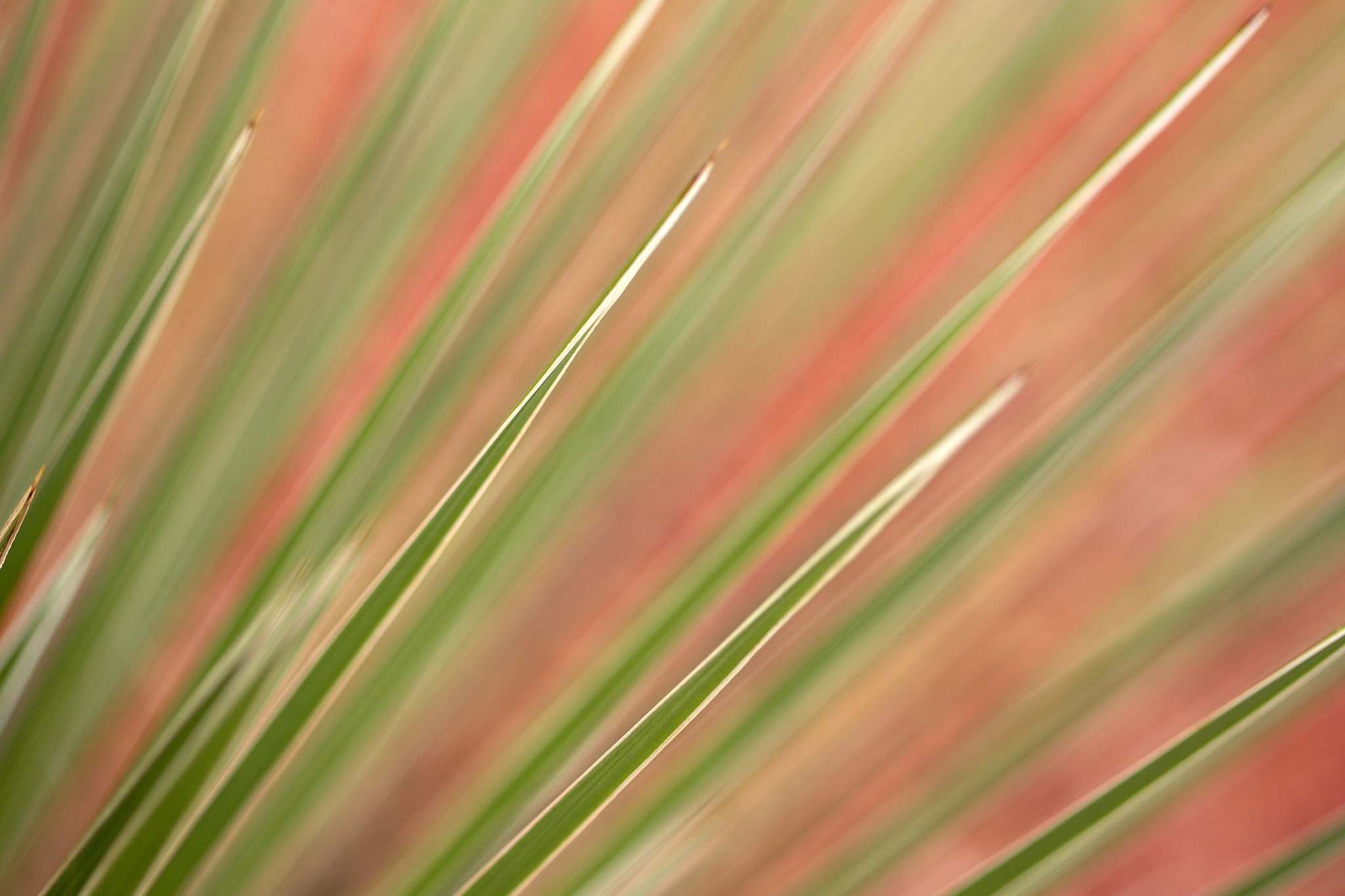 Canon EOS-1D Mark IV sample photo. Arizona colors photography