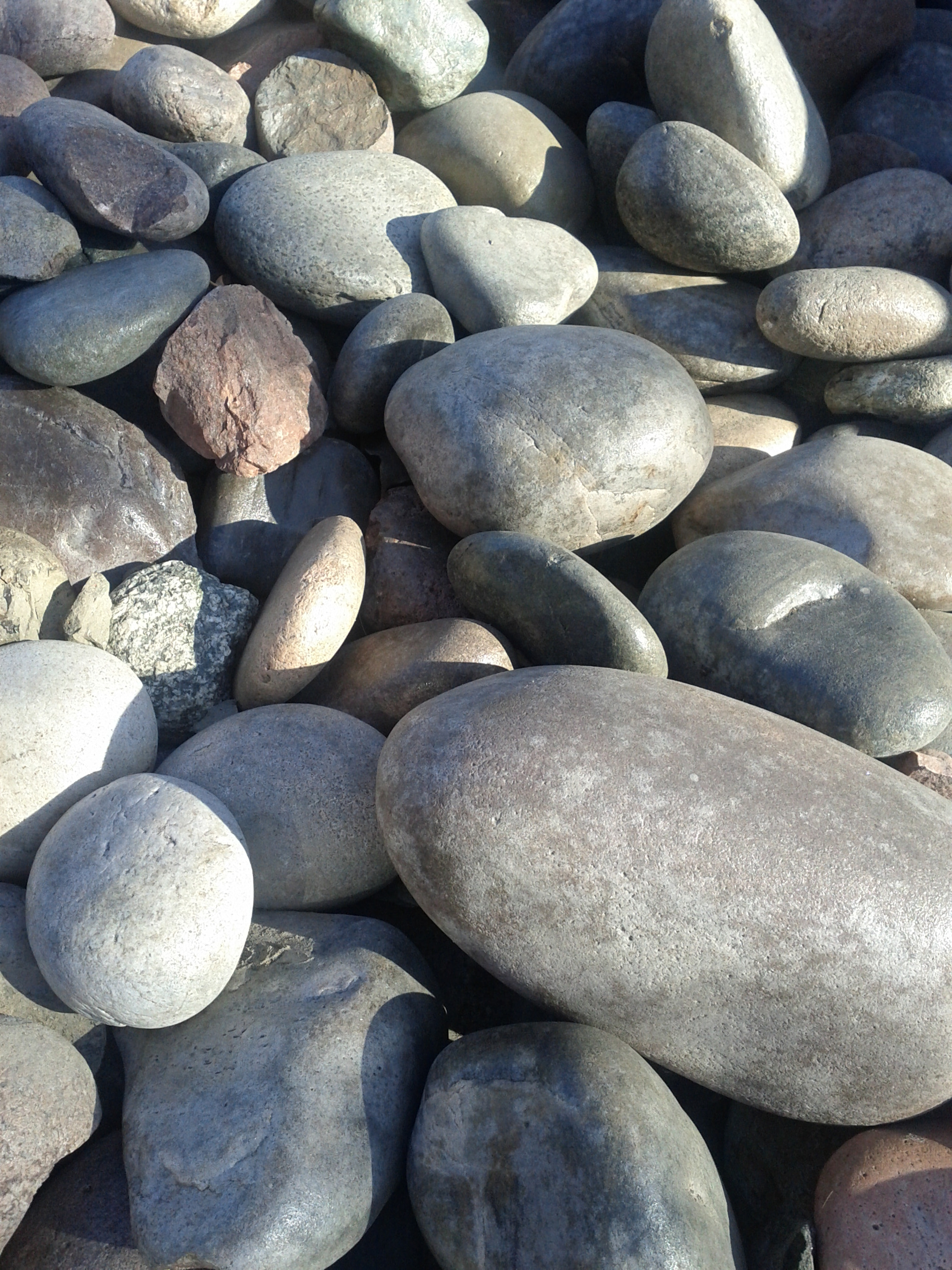 Google Nexus S sample photo. Tsu ns photography