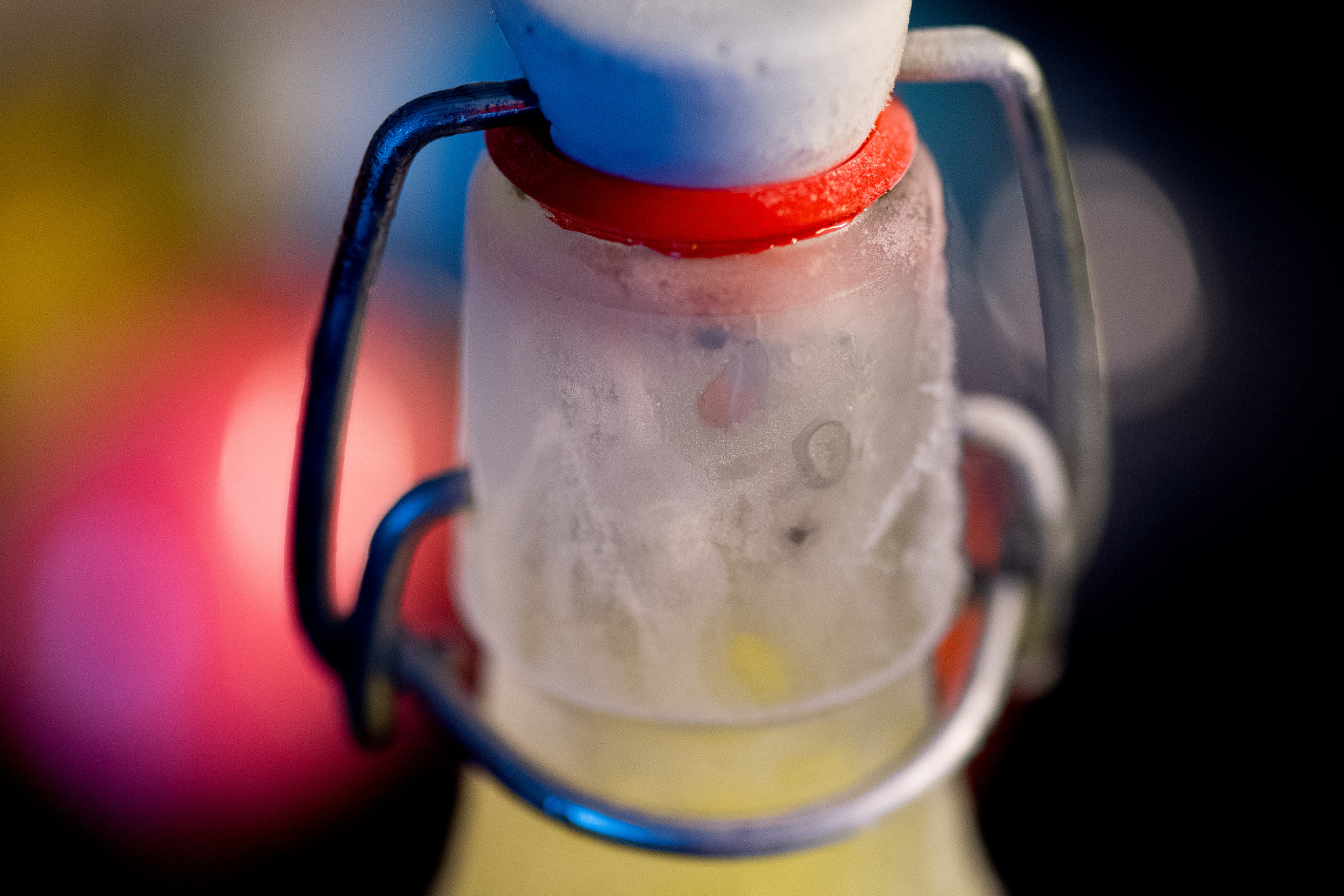Nikon D5 sample photo. The limoncello which came in from the cold photography