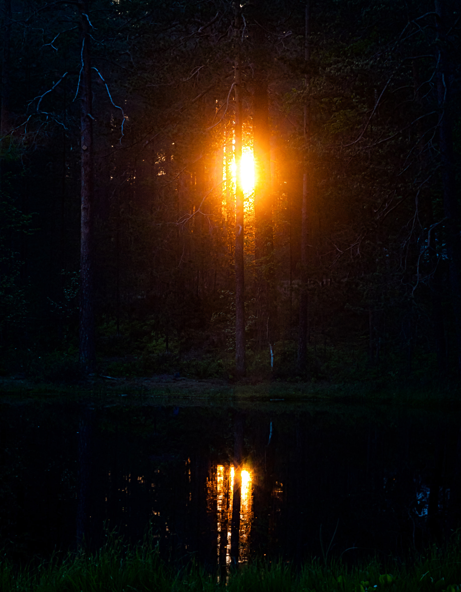 Sigma ZOOM-alpha 35-135mm F3.5-4.5 sample photo. Through the forest photography