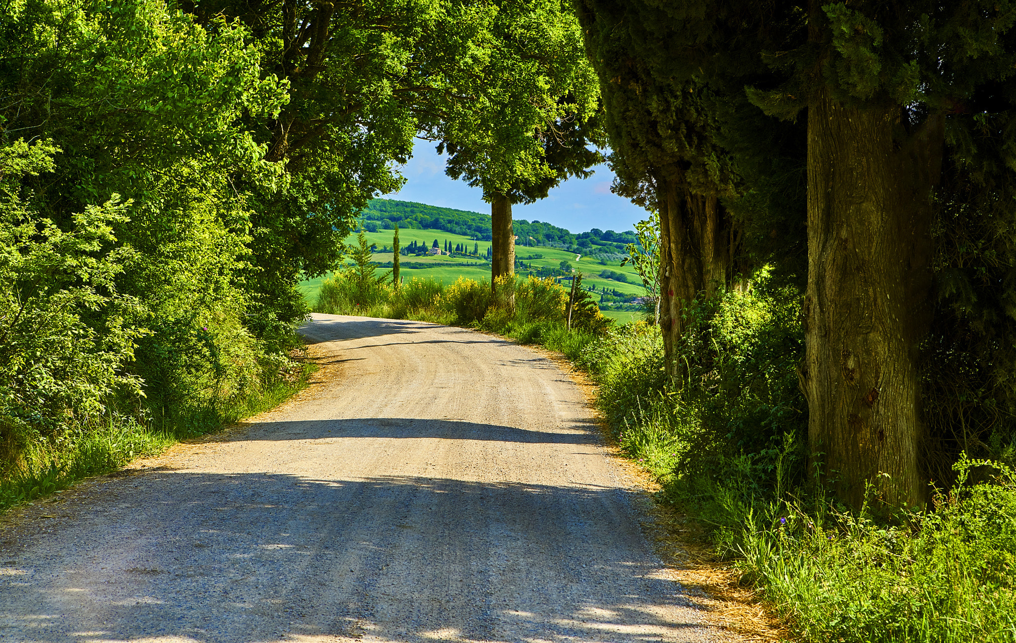 24-70mm F2.8 sample photo. Tuscany road photography
