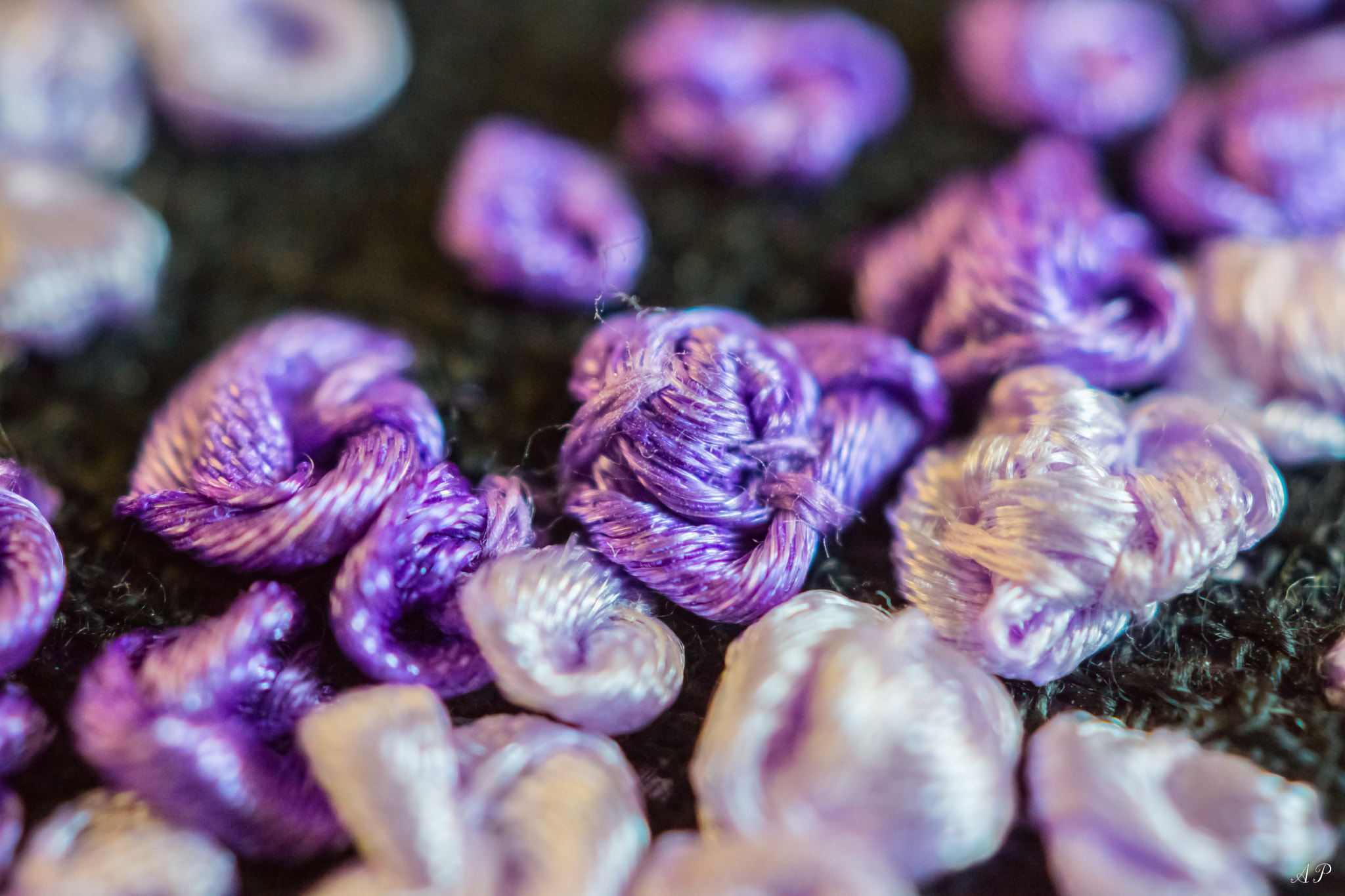 Sony SLT-A65 (SLT-A65V) + Sony DT 30mm F2.8 Macro SAM sample photo. Сирень photography