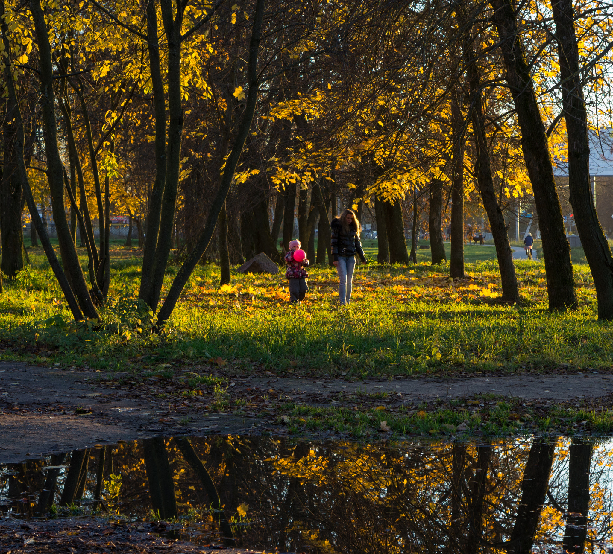 Sony Alpha NEX-5N + E 50mm F1.8 OSS sample photo. Autumn. photography