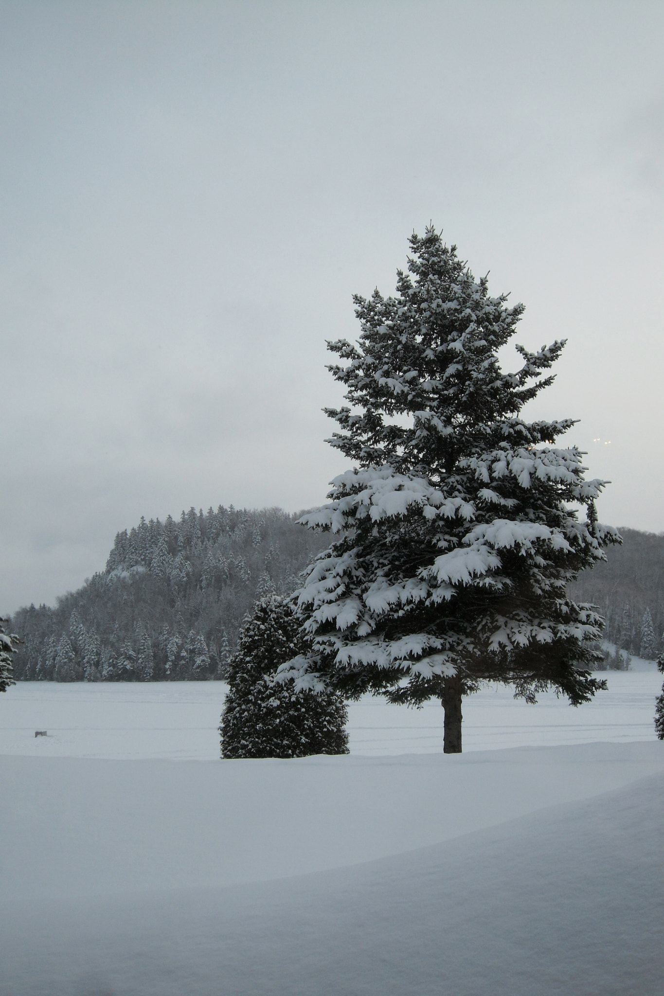 Samsung ST500 /  ST510 / VLUU ST500 /  TL220 sample photo. After snow storm photography