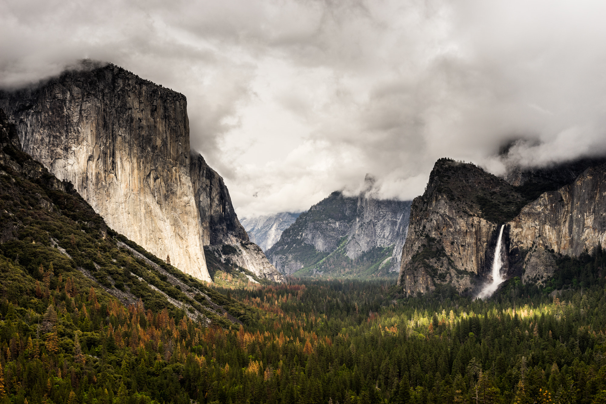 Sony a7 + E 50mm F2 sample photo. Tunnel view photography