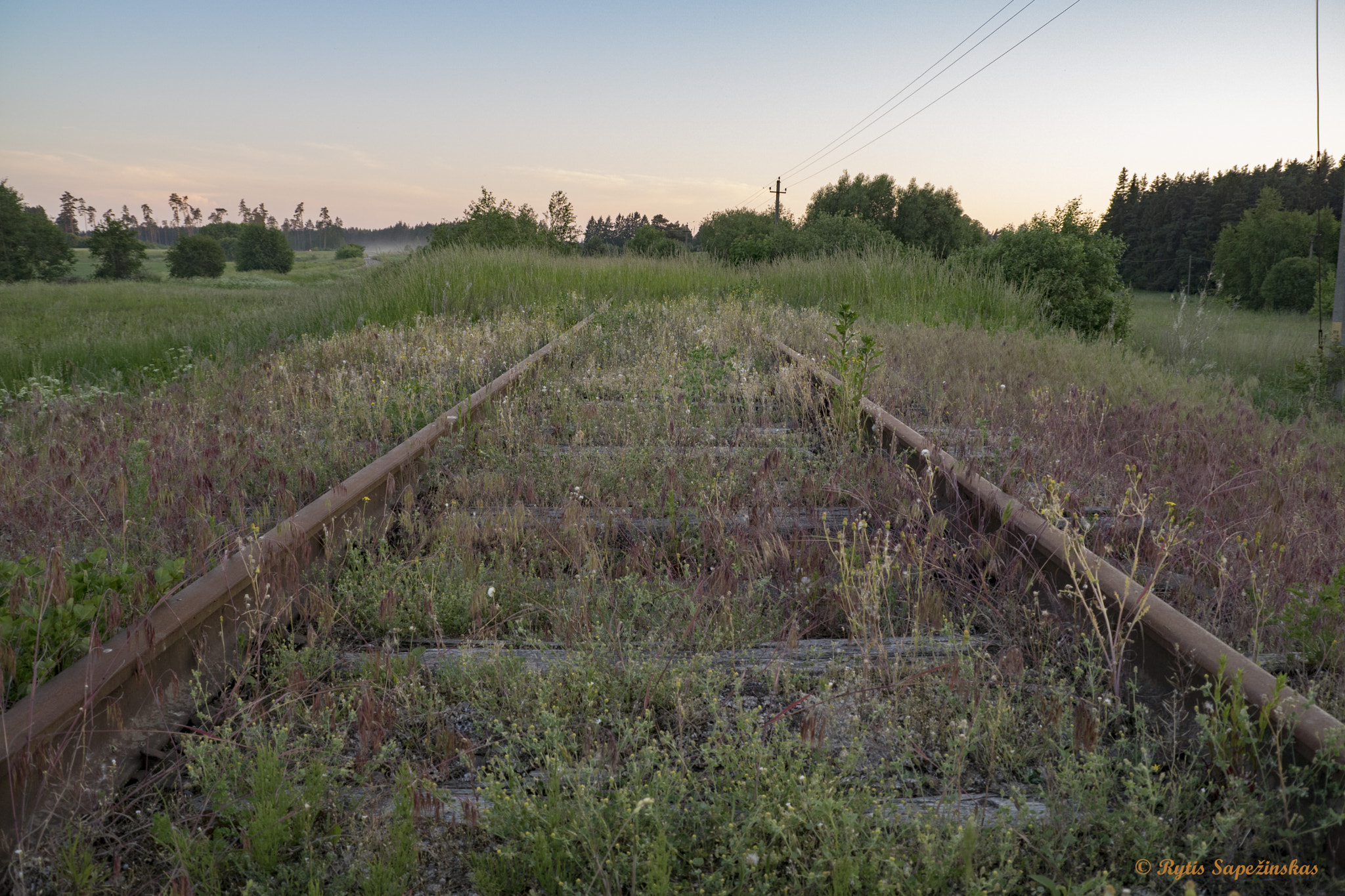Sony DT 18-200mm F3.5-6.3 sample photo. Abandoned rails photography