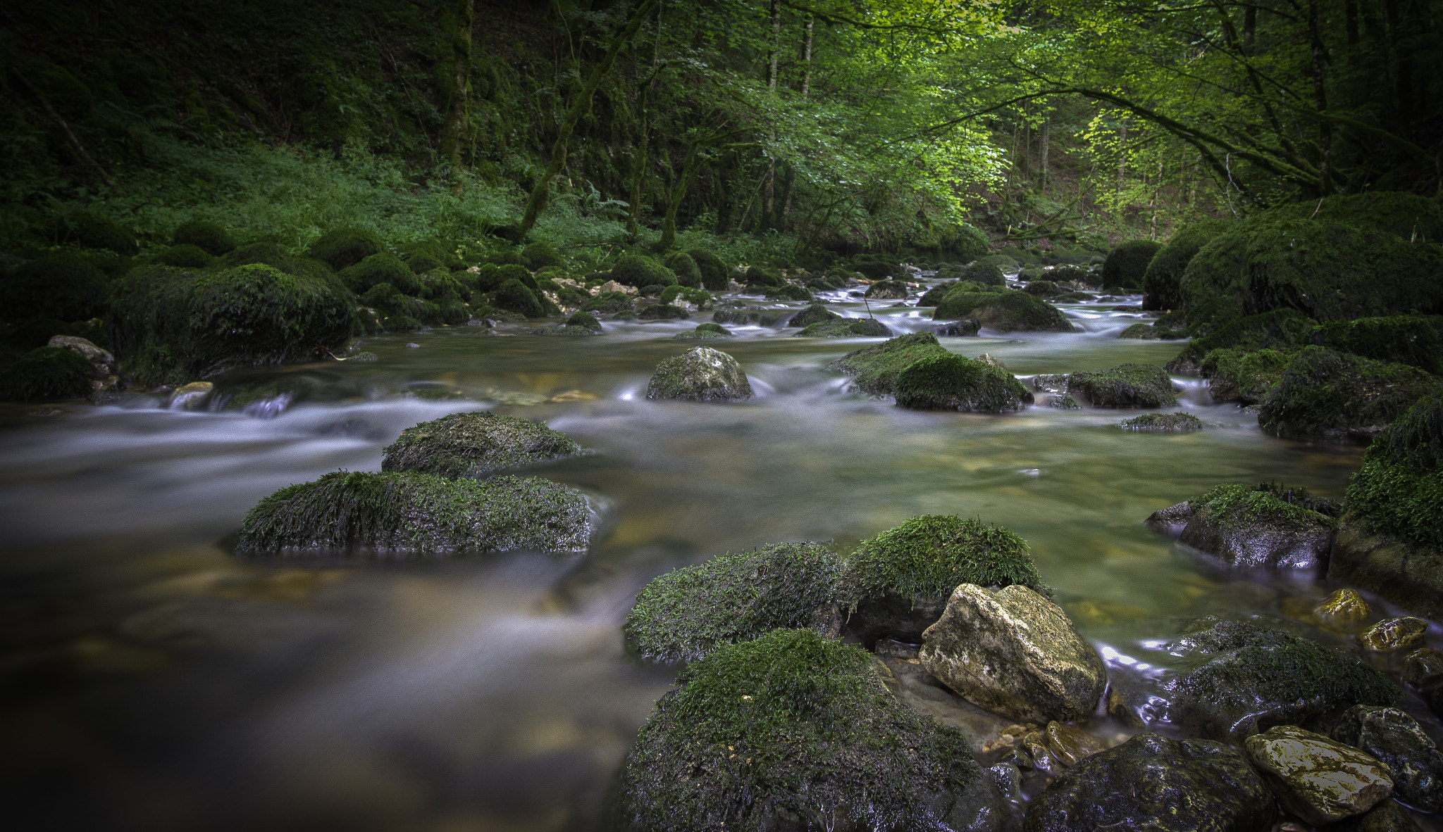 Canon EF-S 10-18mm F4.5–5.6 IS STM sample photo. Pichoux photography