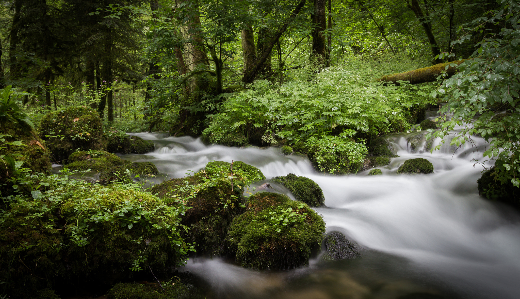 Canon EF-S 10-18mm F4.5–5.6 IS STM sample photo. Pichoux photography