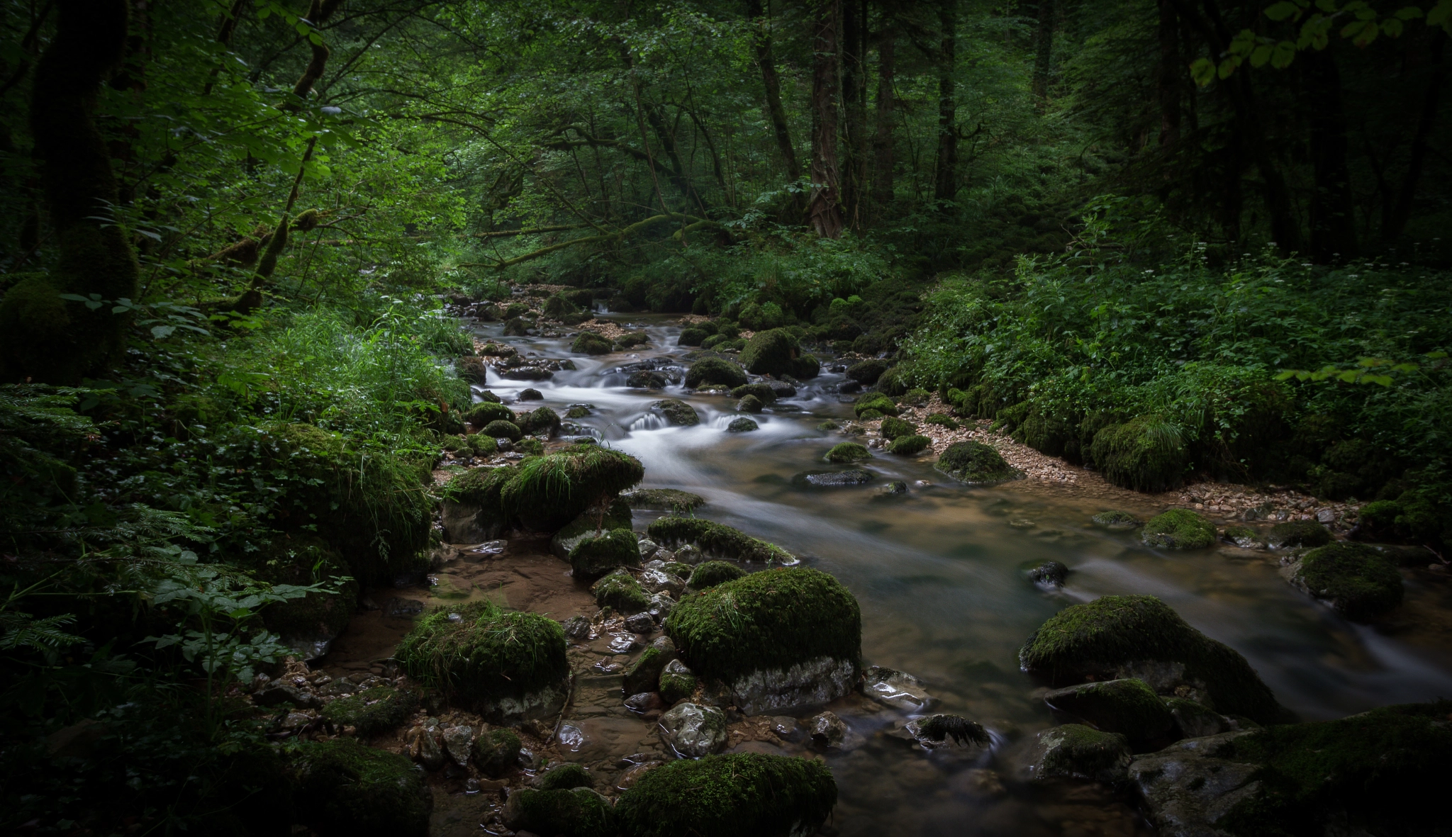 Canon EF-S 10-18mm F4.5–5.6 IS STM sample photo. Pichoux photography