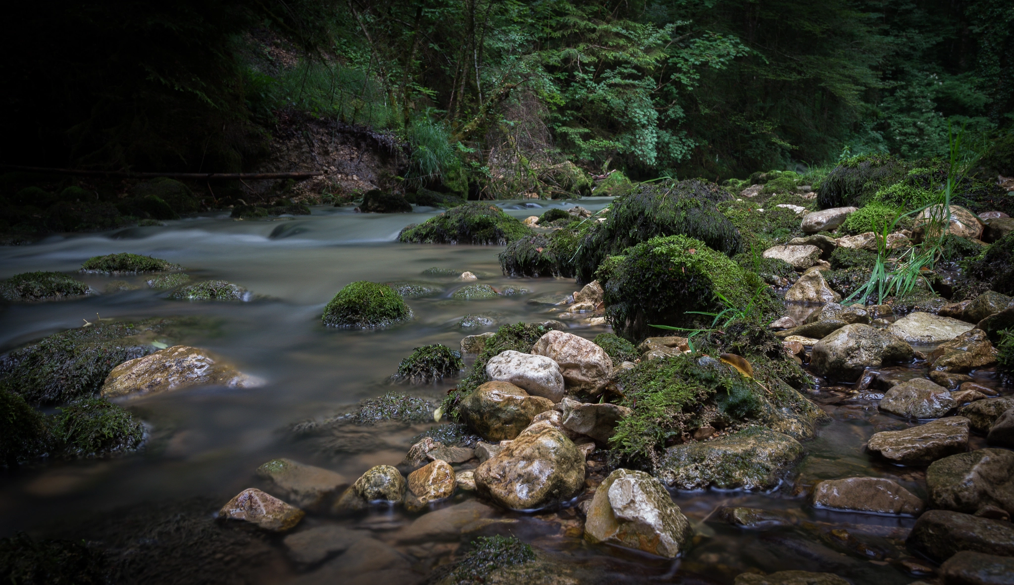 Canon EF-S 10-18mm F4.5–5.6 IS STM sample photo. Pichoux photography
