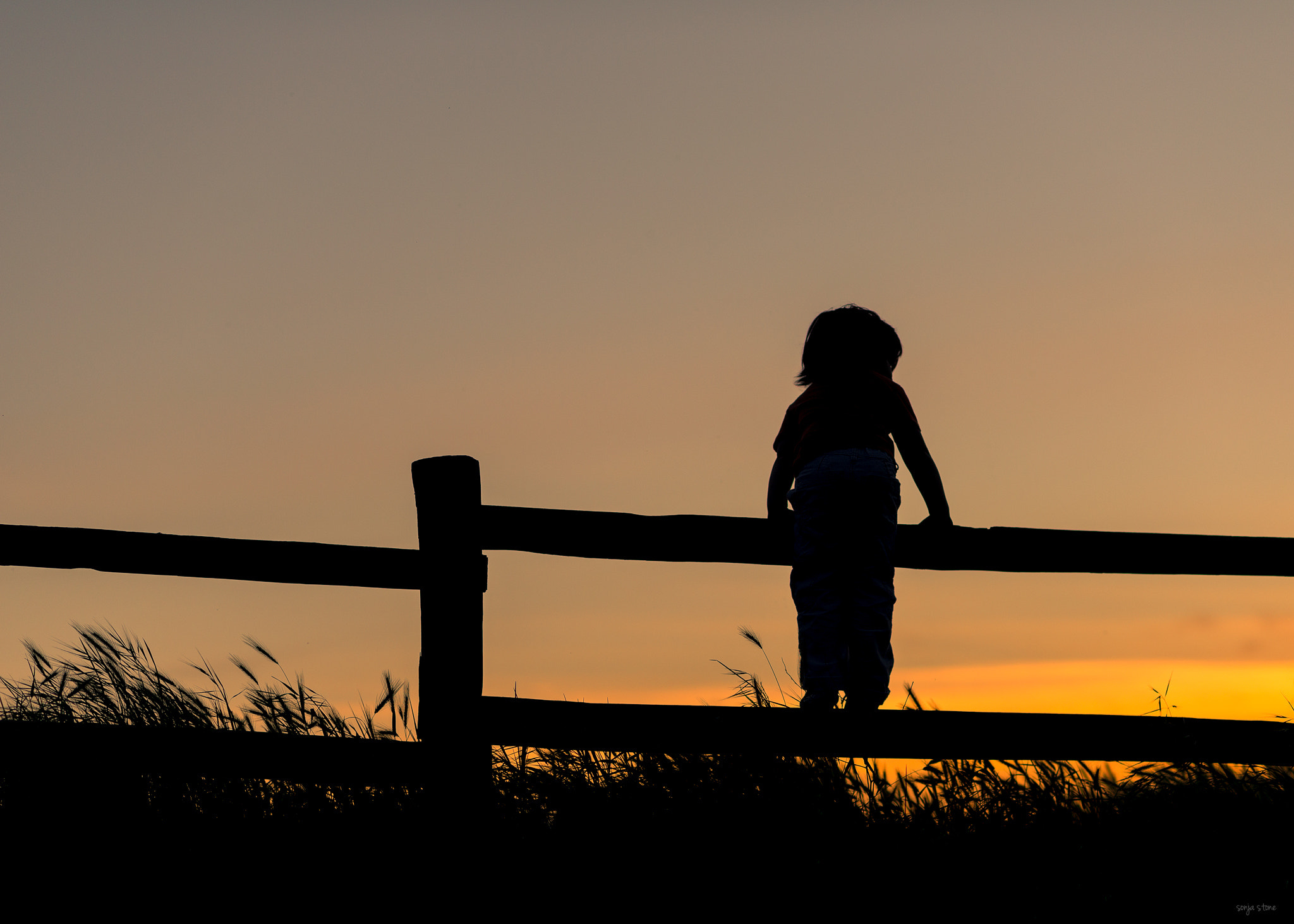 Nikon D600 + AF Nikkor 85mm f/1.8 sample photo. Country sunset photography