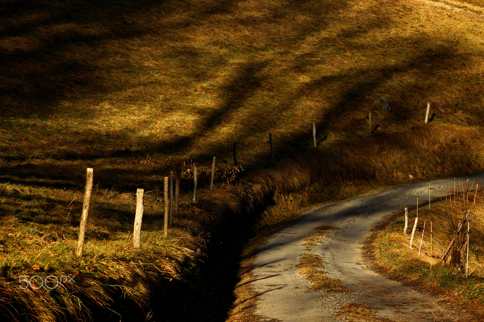 Canon EF 90-300mm F4.5-5.6 sample photo. Lost path. photography