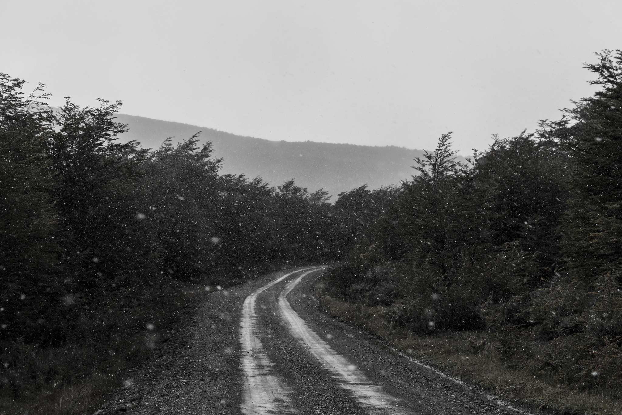 Canon EOS 7D Mark II + Canon EF-S 18-55mm F3.5-5.6 IS sample photo. Snowy road photography