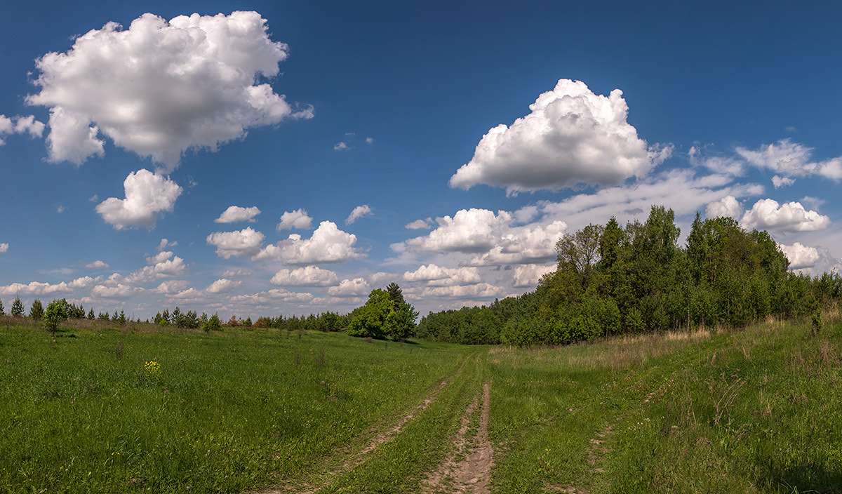 Nikon AF-S Nikkor 28-70mm F2.8 ED-IF sample photo. Пейзаж в конце мая photography