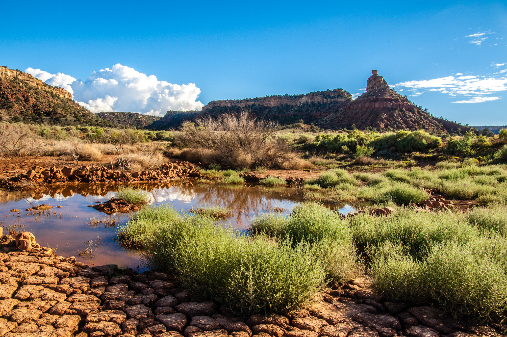 Nikon D2X sample photo. Desert oasis photography