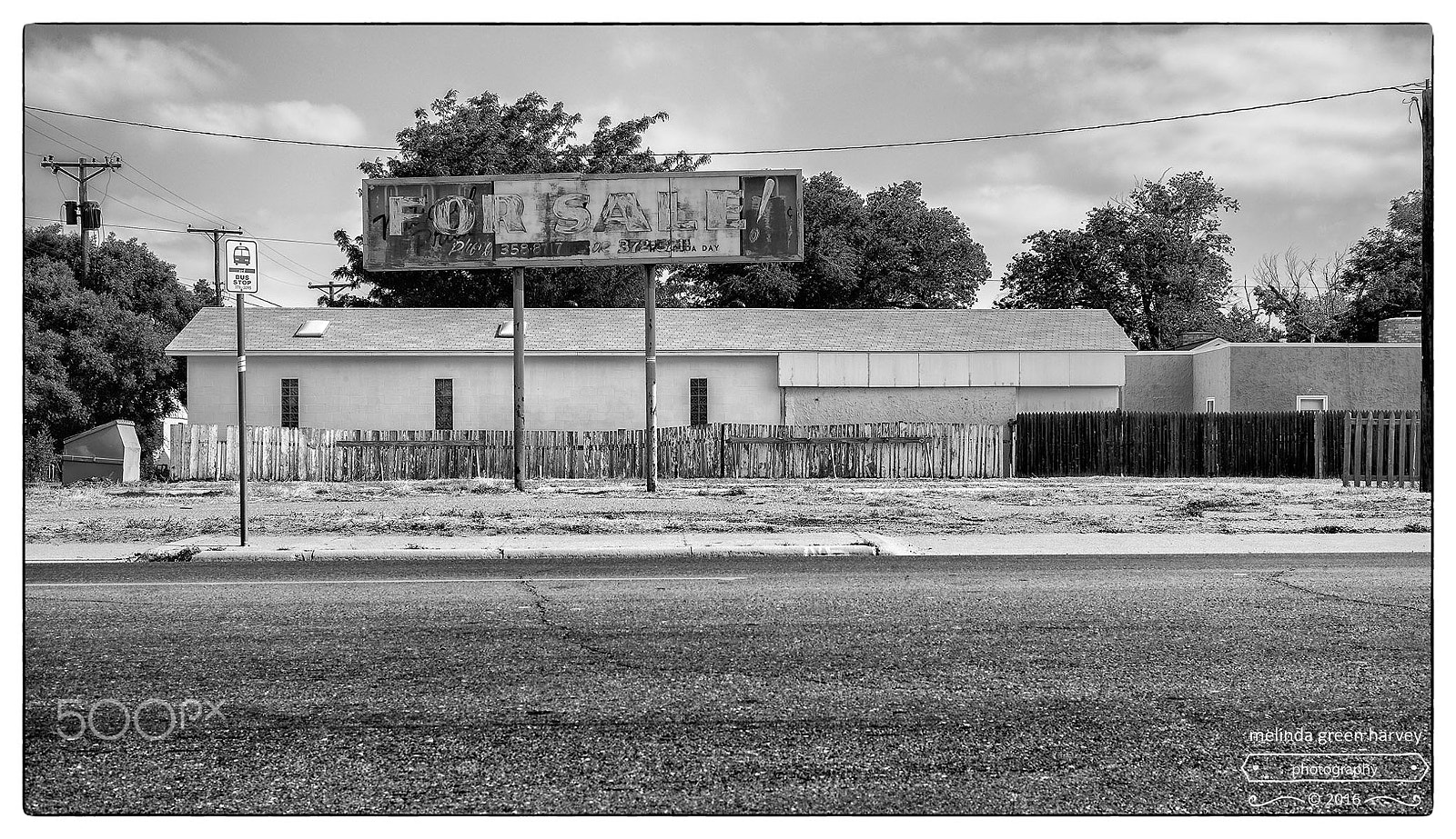 Leica Summarit-M 50mm F2.4 sample photo. A mostly permanent situation photography