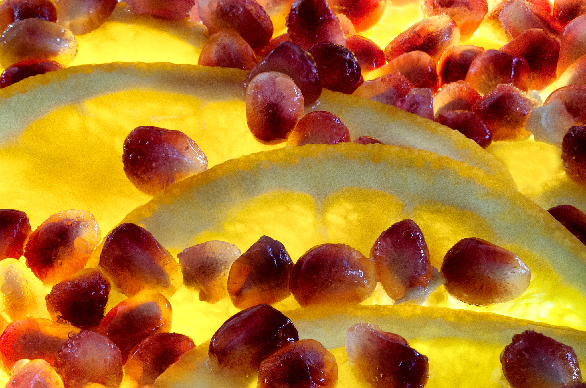 Sigma 105mm F2.8 EX DG OS HSM sample photo. Pomegranate and lemons photography