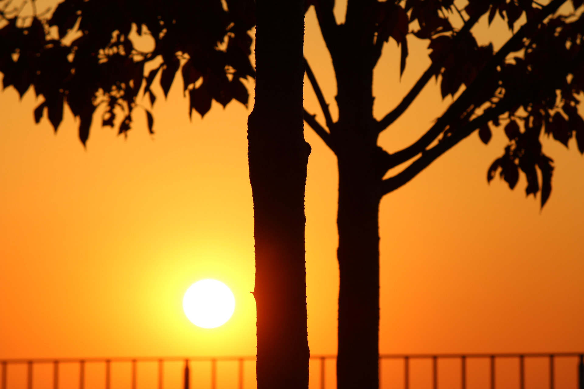 Canon EOS 600D (Rebel EOS T3i / EOS Kiss X5) sample photo. Sunset photography