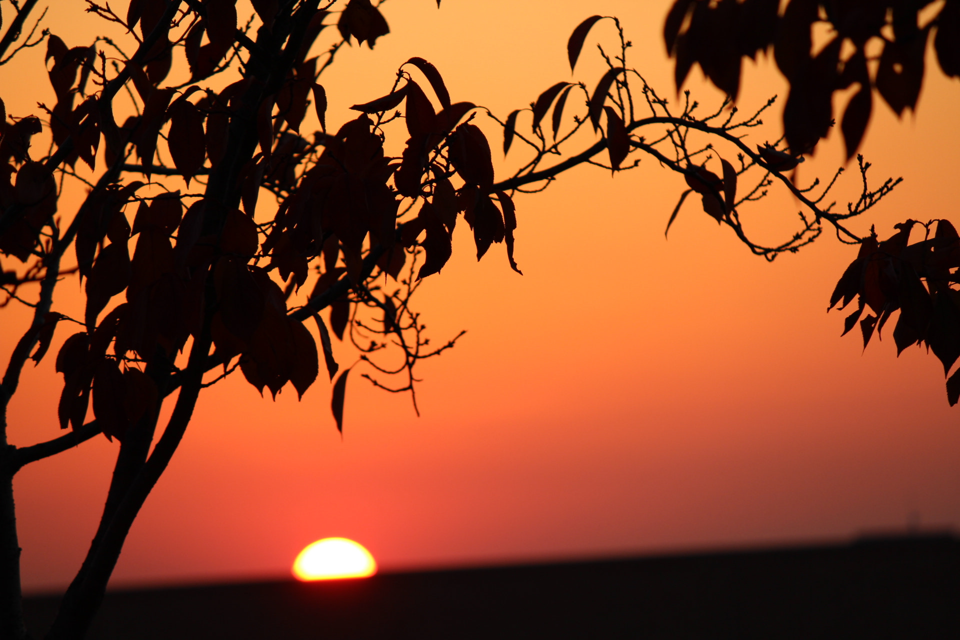 Canon EOS 600D (Rebel EOS T3i / EOS Kiss X5) sample photo. Sunset photography