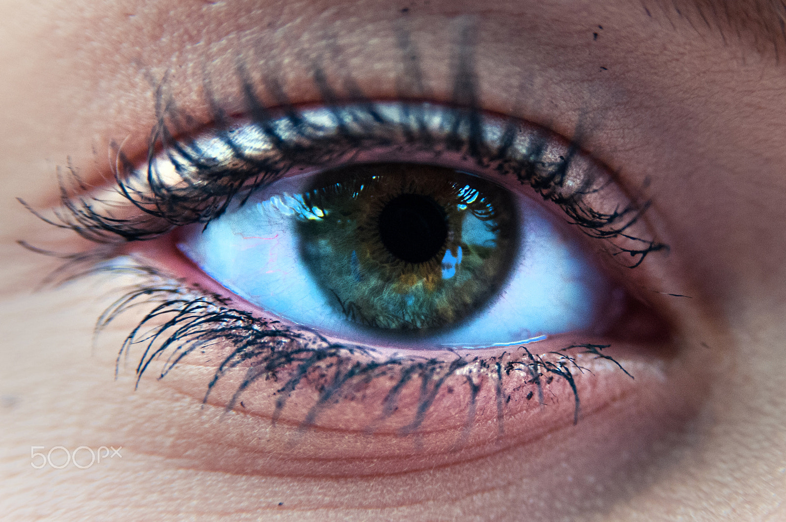 AF Zoom-Nikkor 28-105mm f/3.5-4.5D IF sample photo. Beautifull eye photography