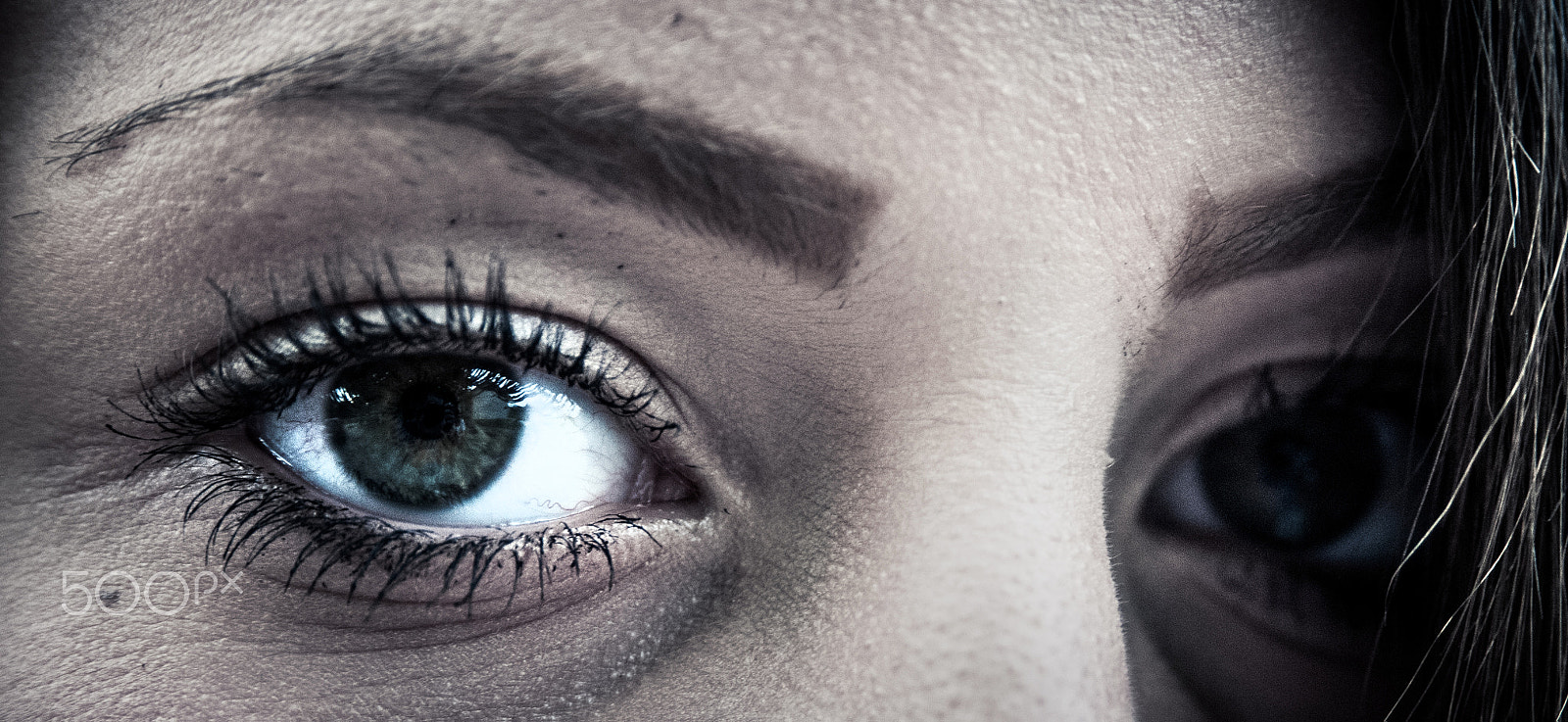 AF Zoom-Nikkor 28-105mm f/3.5-4.5D IF sample photo. Beautifull eyes photography