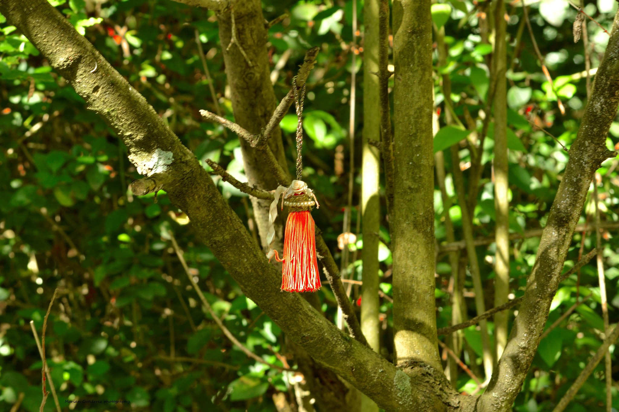 Sigma 120-400mm F4.5-5.6 DG OS HSM sample photo
