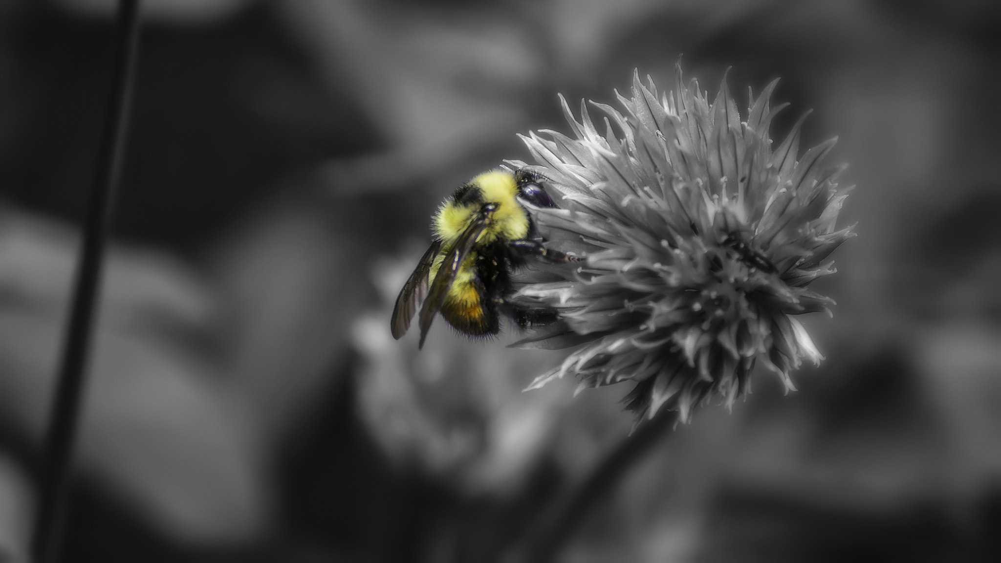 Sony DT 55-300mm F4.5-5.6 SAM sample photo. Digging photography