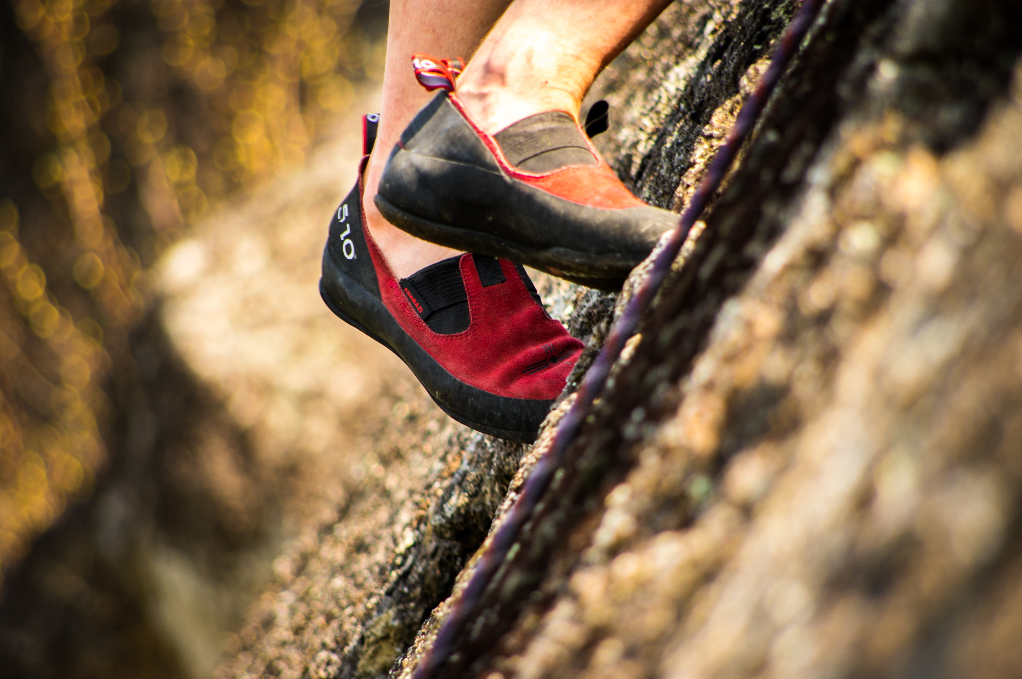 Pentax smc DA 55-300mm F4.0-5.8 ED sample photo. Power in the feet photography
