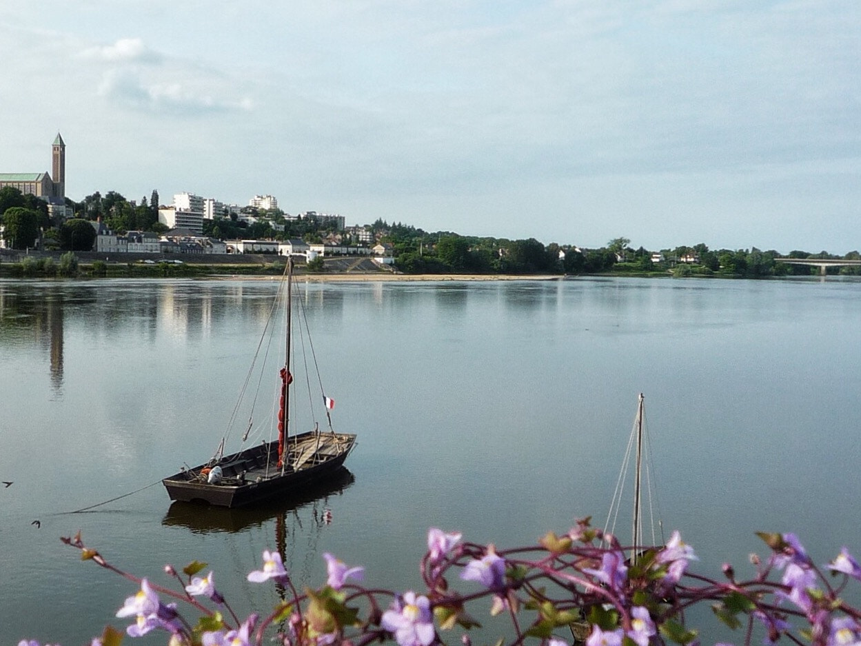 Panasonic DMC-FX500 sample photo. La loire photography