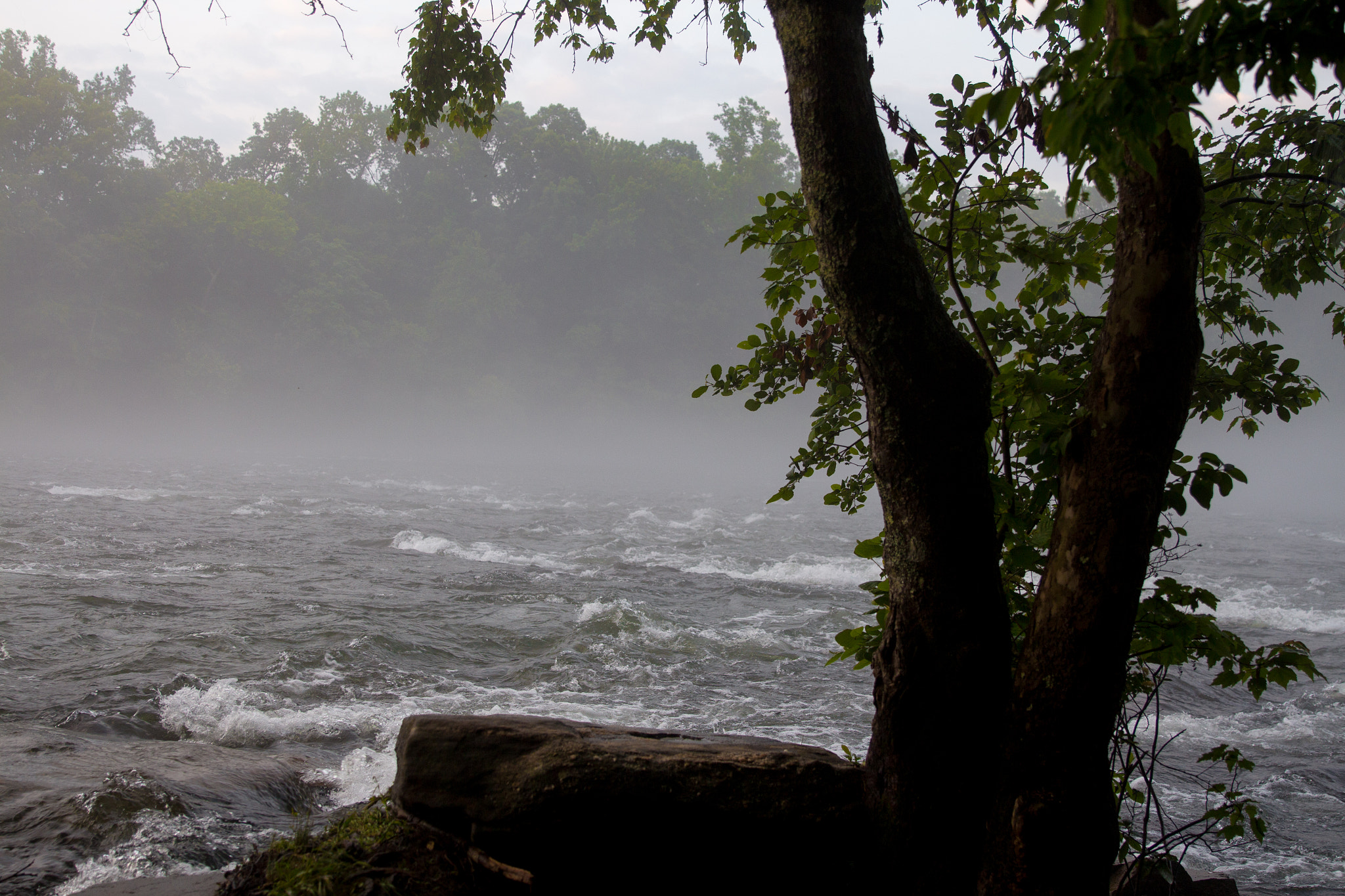 Canon EOS 650D (EOS Rebel T4i / EOS Kiss X6i) sample photo. Misty morning river photography