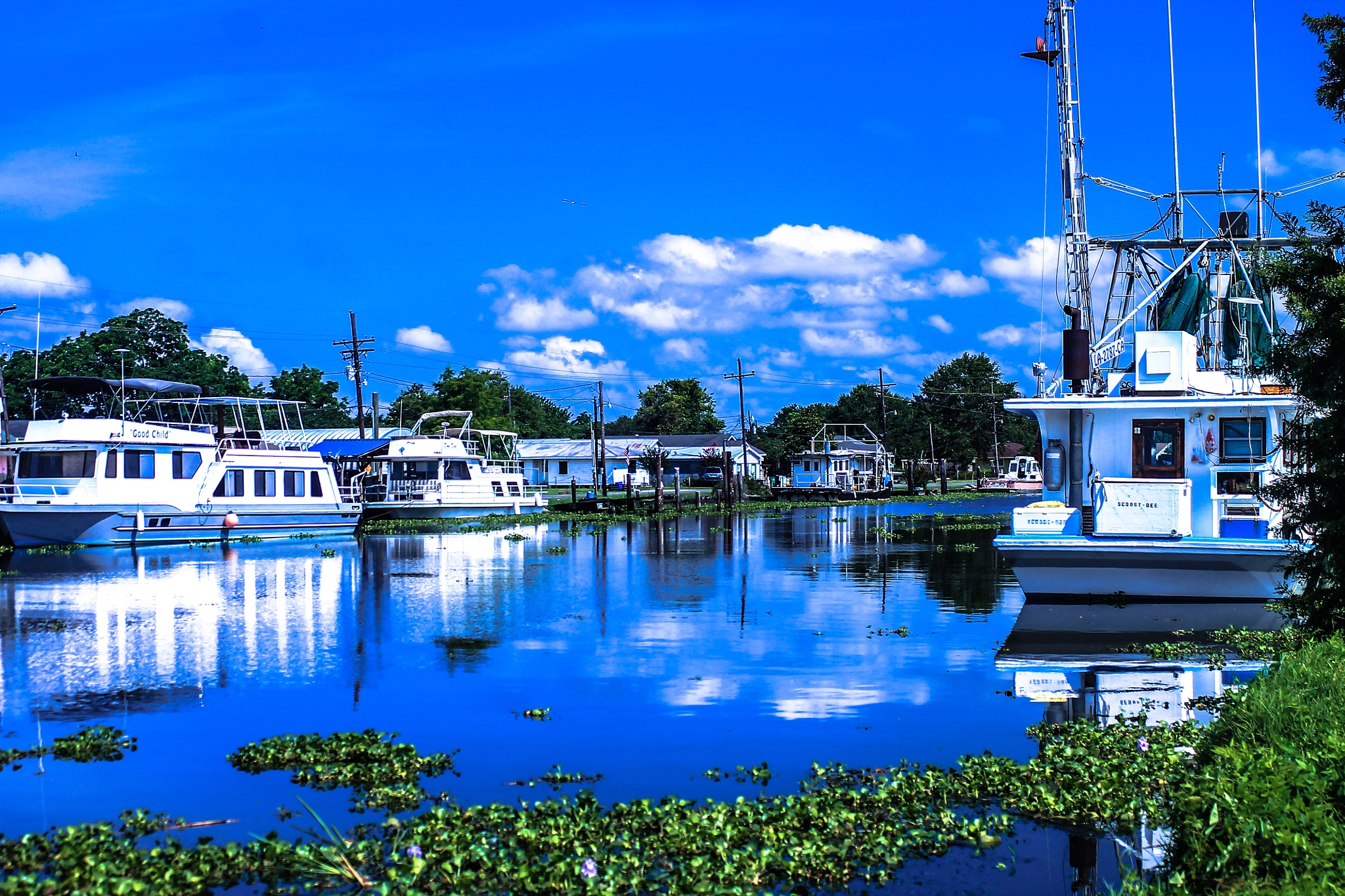 Canon EF 28-90mm f/4-5.6 sample photo. Blue heaven photography