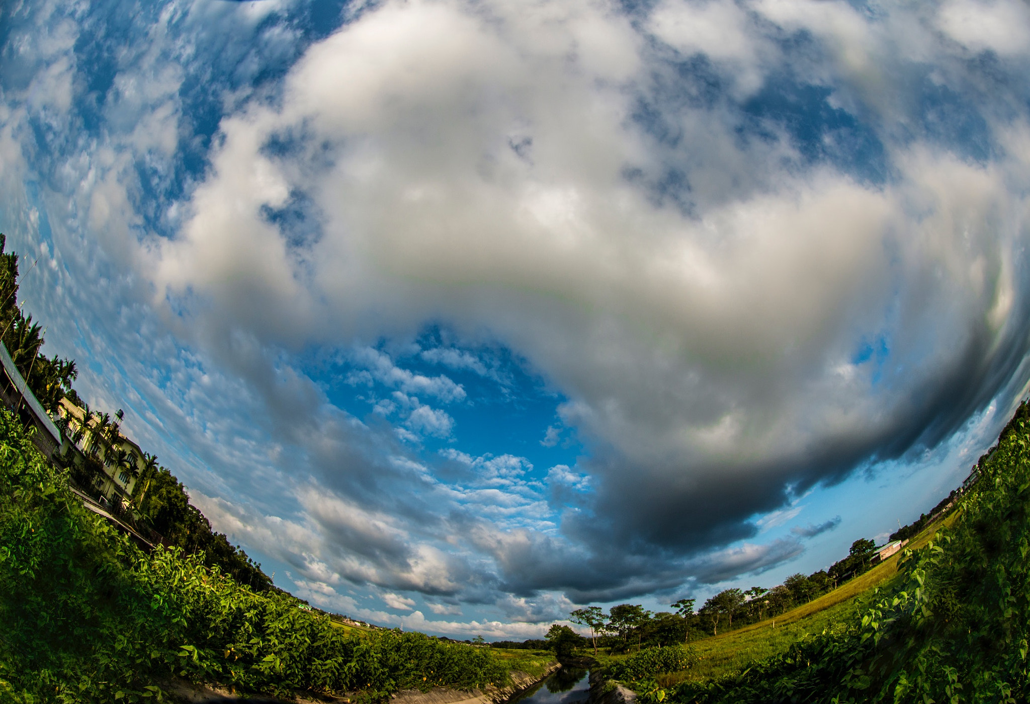 Canon EF 8-15mm F4L Fisheye USM sample photo