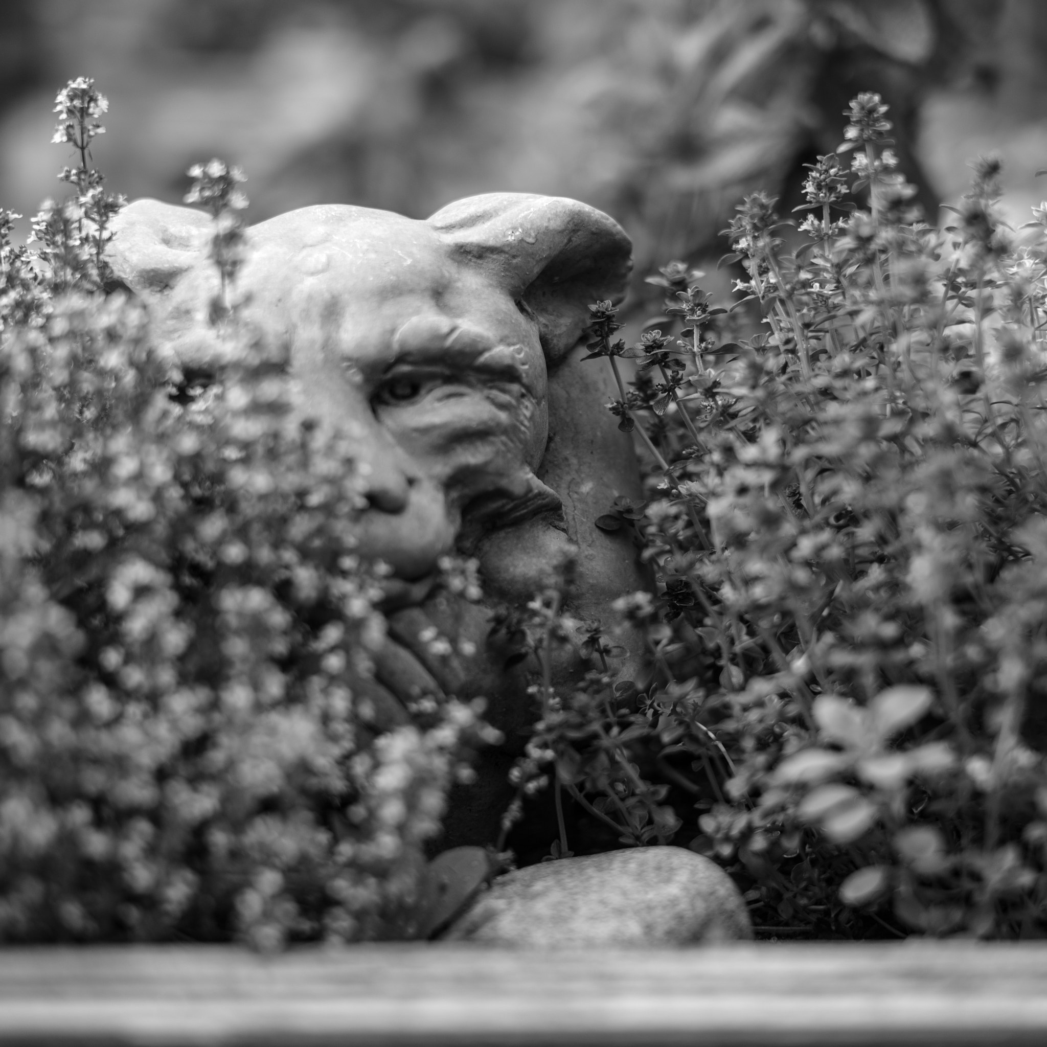 Leica Summilux-M 50mm F1.4 ASPH sample photo. Human nature 2 photography