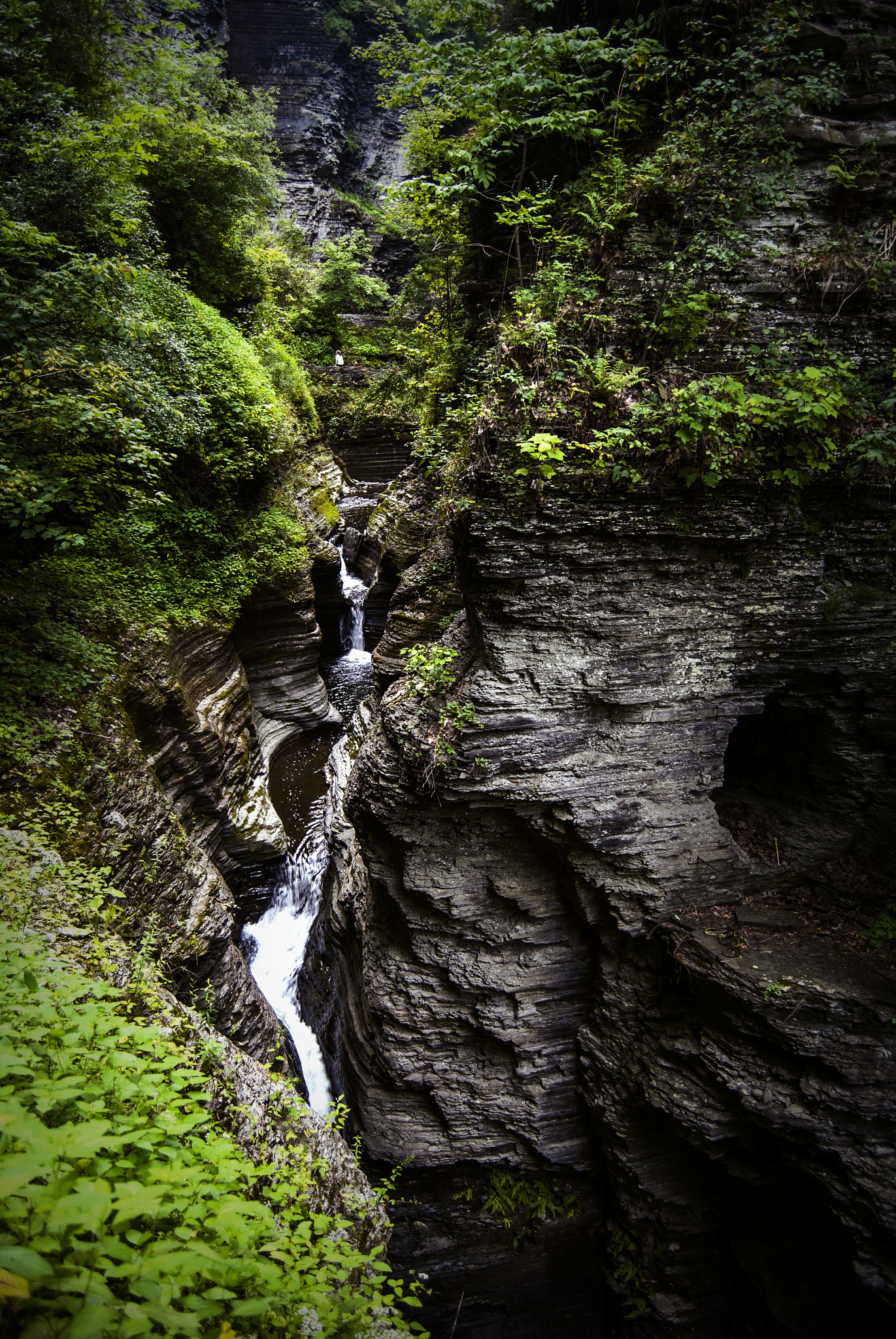 Nikon D200 sample photo. Watkins glen photography
