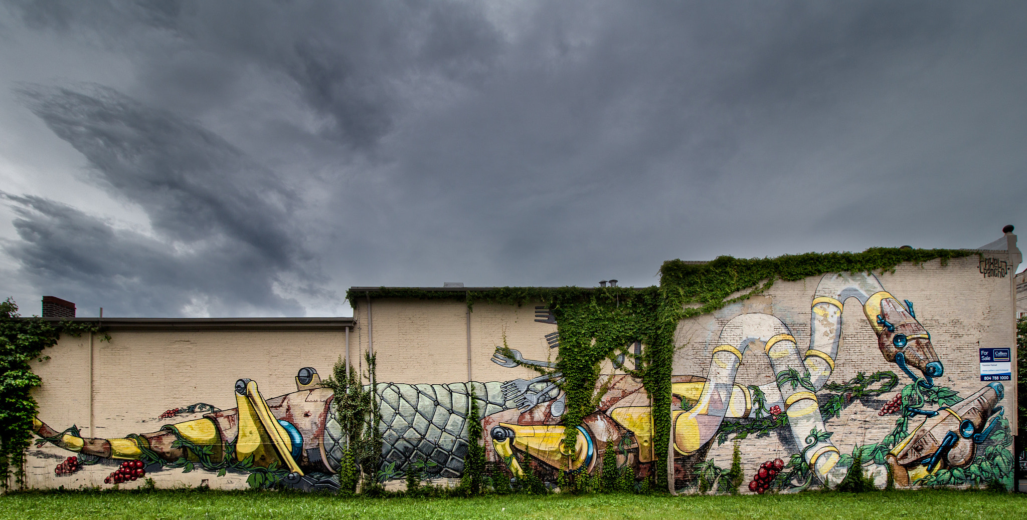 Canon EF-S 10-18mm F4.5–5.6 IS STM sample photo. Street art, richmond va photography