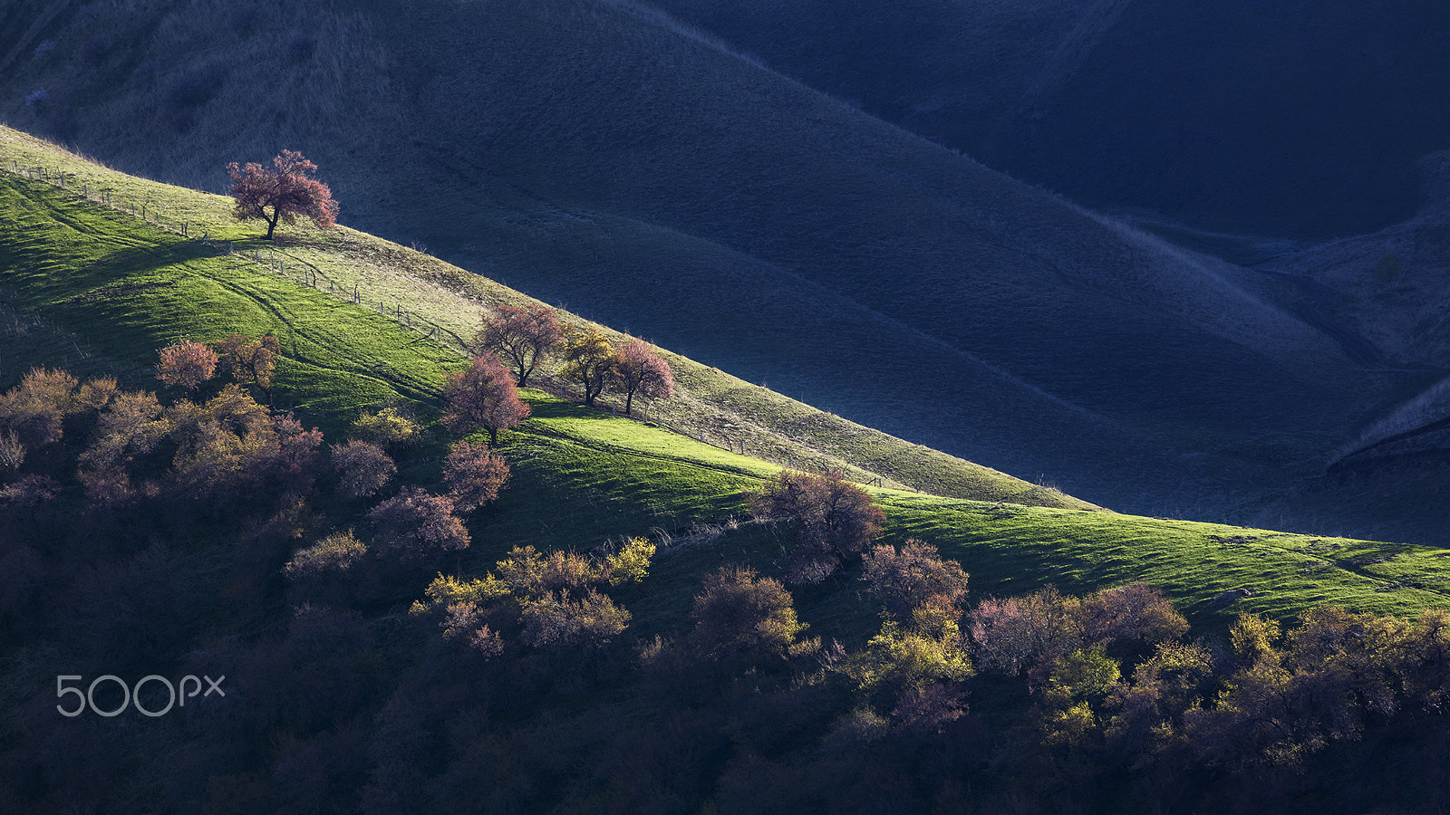 Canon EF 70-300mm F4-5.6L IS USM sample photo. Xinjiang, china photography