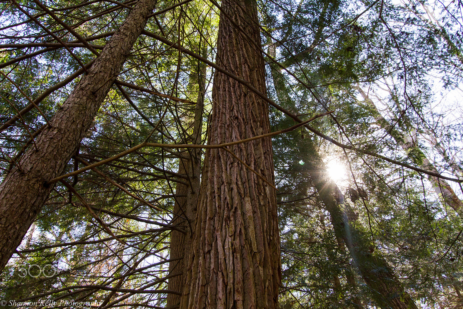 Canon EF-S 10-18mm F4.5–5.6 IS STM sample photo. Hocking hills ohio caves photography