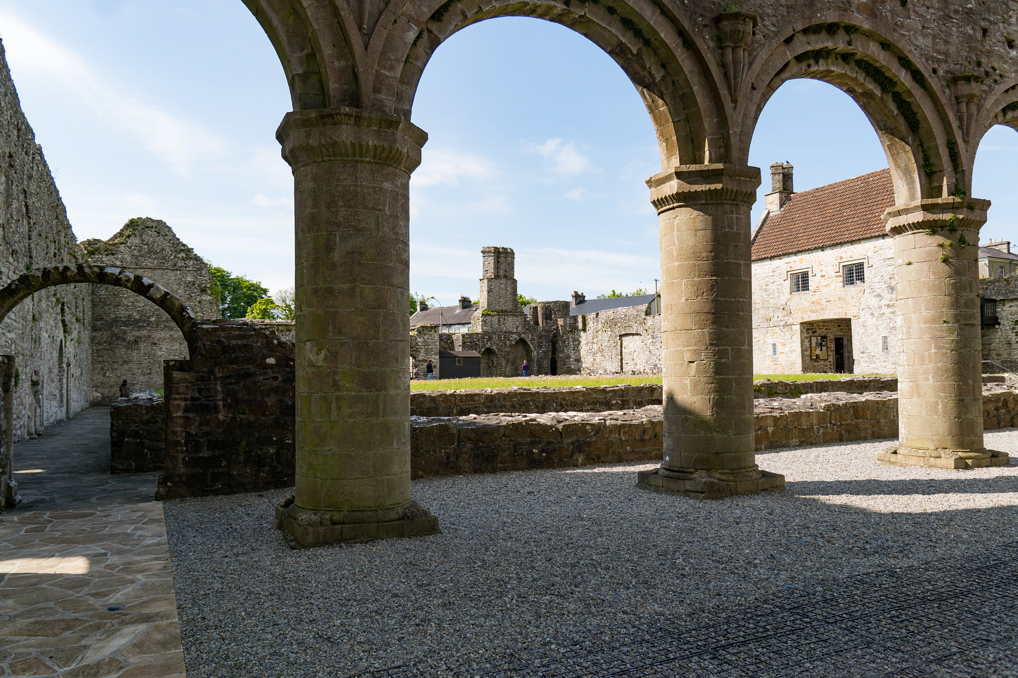 Sony DT 16-105mm F3.5-5.6 sample photo. Boyle abbey photography