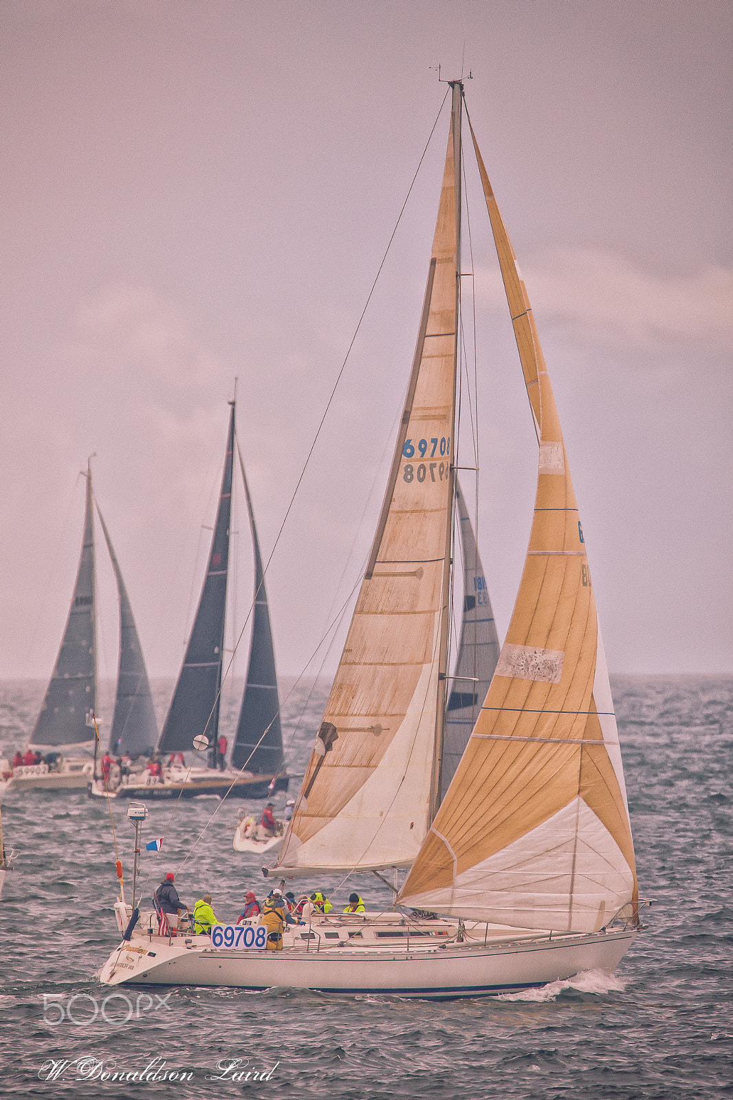 Canon EOS-1D Mark III + Canon EF 500mm F4L IS USM sample photo. Yellow sails photography
