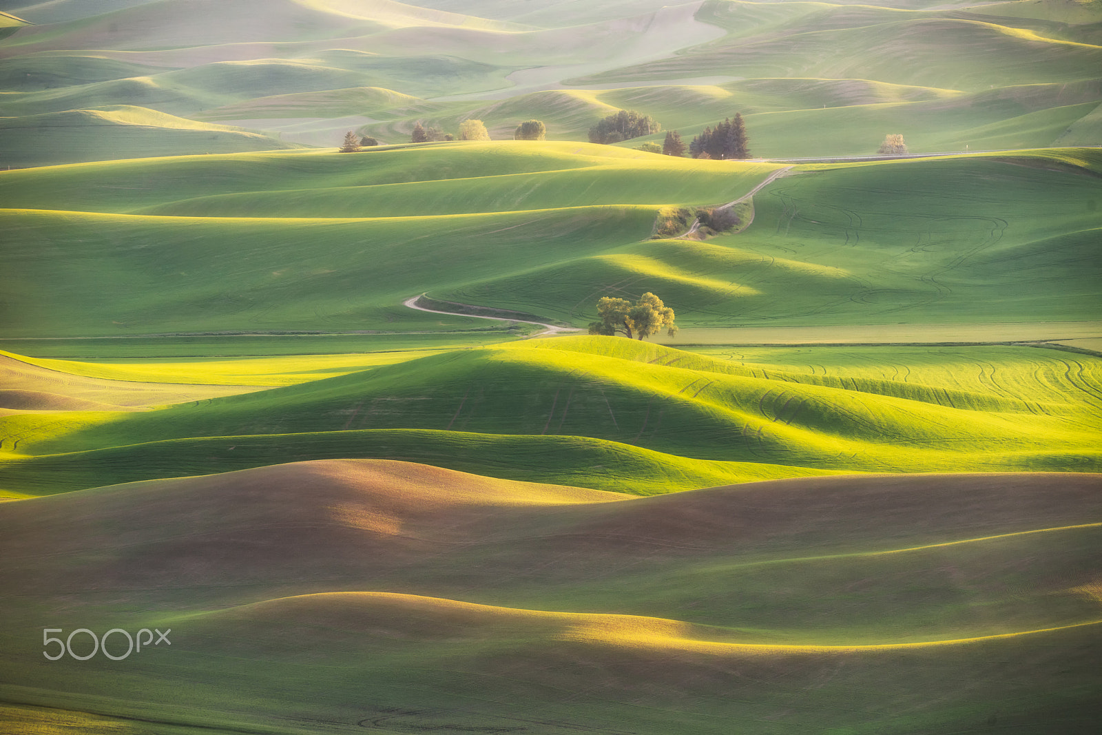 150-600mm F5-6.3 DG OS HSM | Contemporary 015 sample photo. Palouse abstract photography