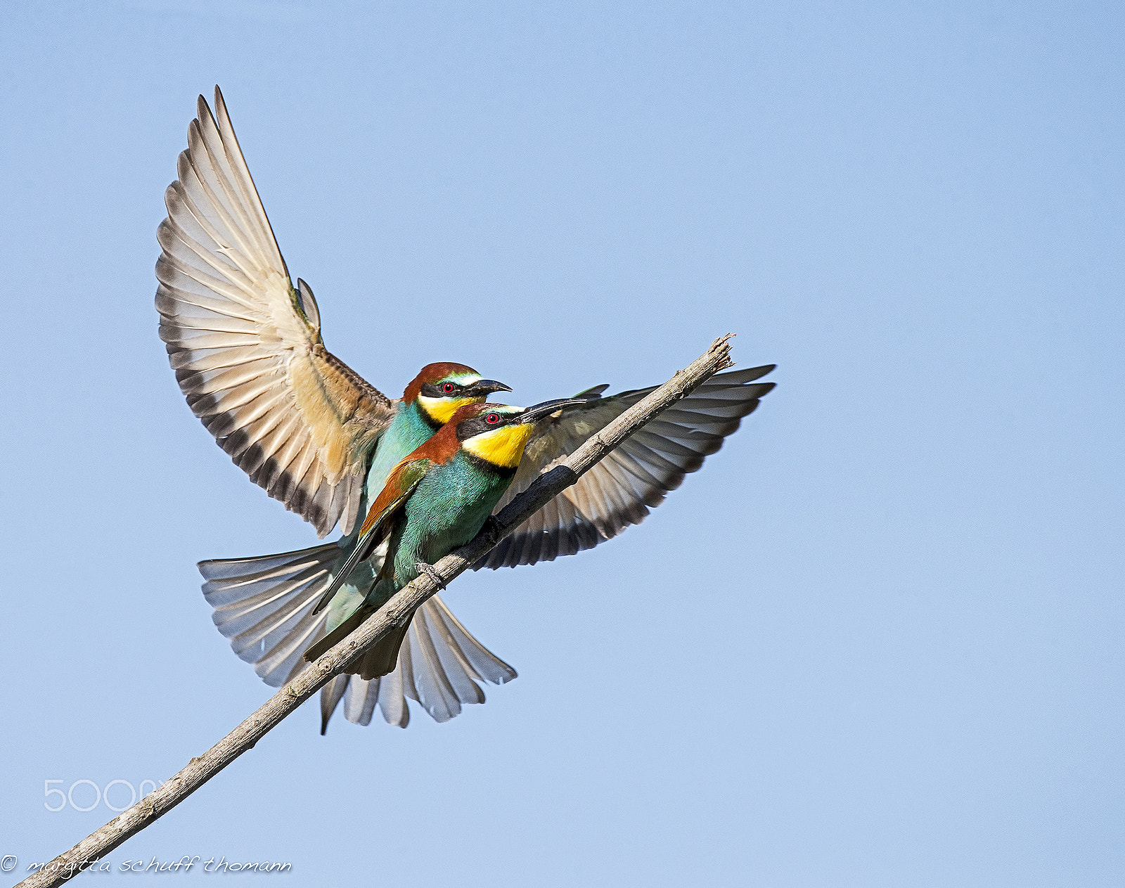 Canon EOS-1D X sample photo. Titanic......another point of view.. photography