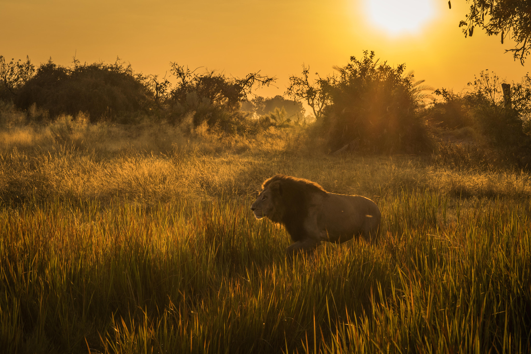 Canon EF 85mm F1.2L II USM sample photo. The sun rises photography