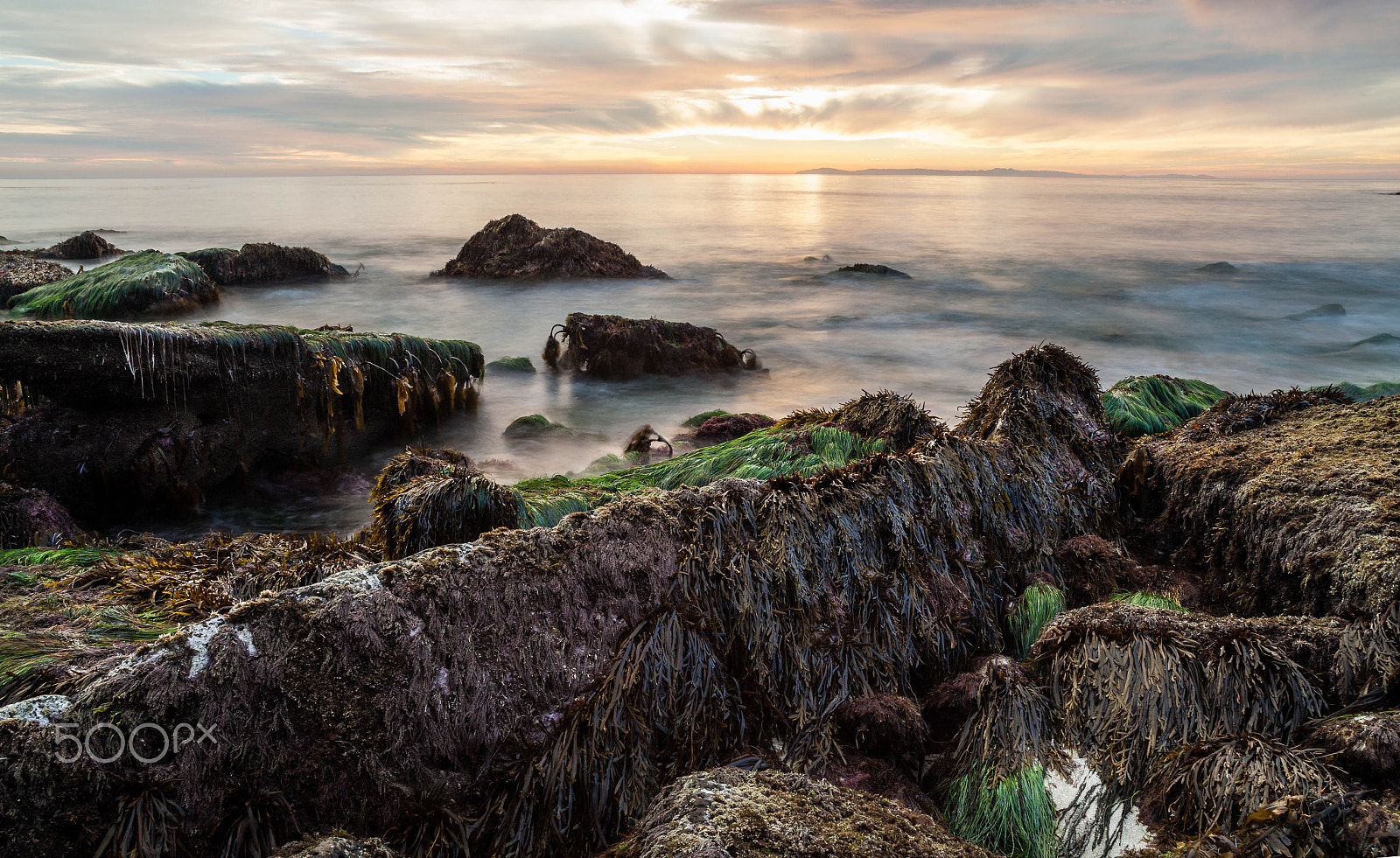 Sigma 24-60mm f/2.8 EX DG sample photo. Beauty of laguna beach california photography