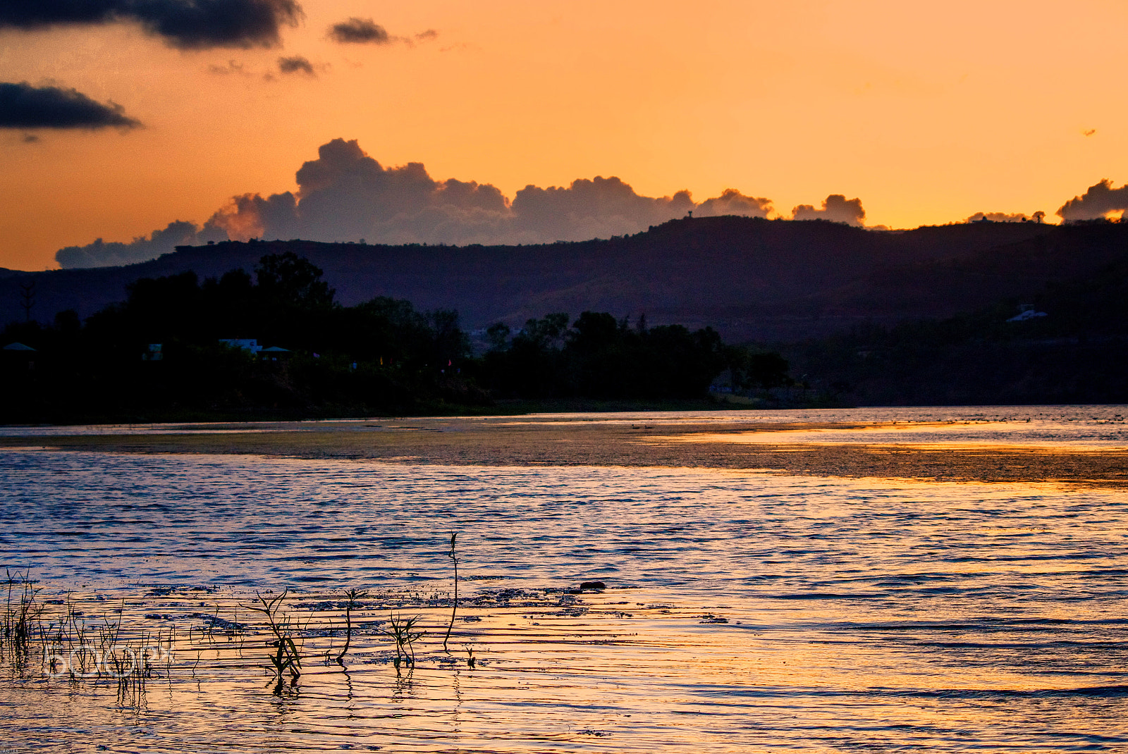 HD Pentax DA 55-300mm F4.0-5.8 ED WR sample photo. The golden sunset photography