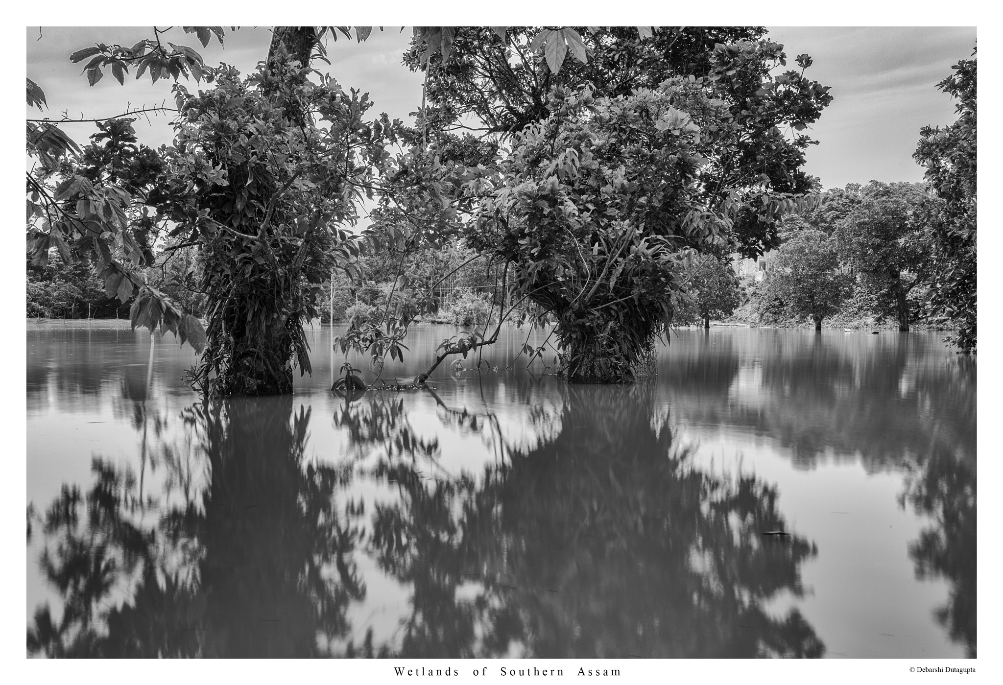 Nikon AF-S Nikkor 17-35mm F2.8D ED-IF sample photo. Wetlands of southern assam photography