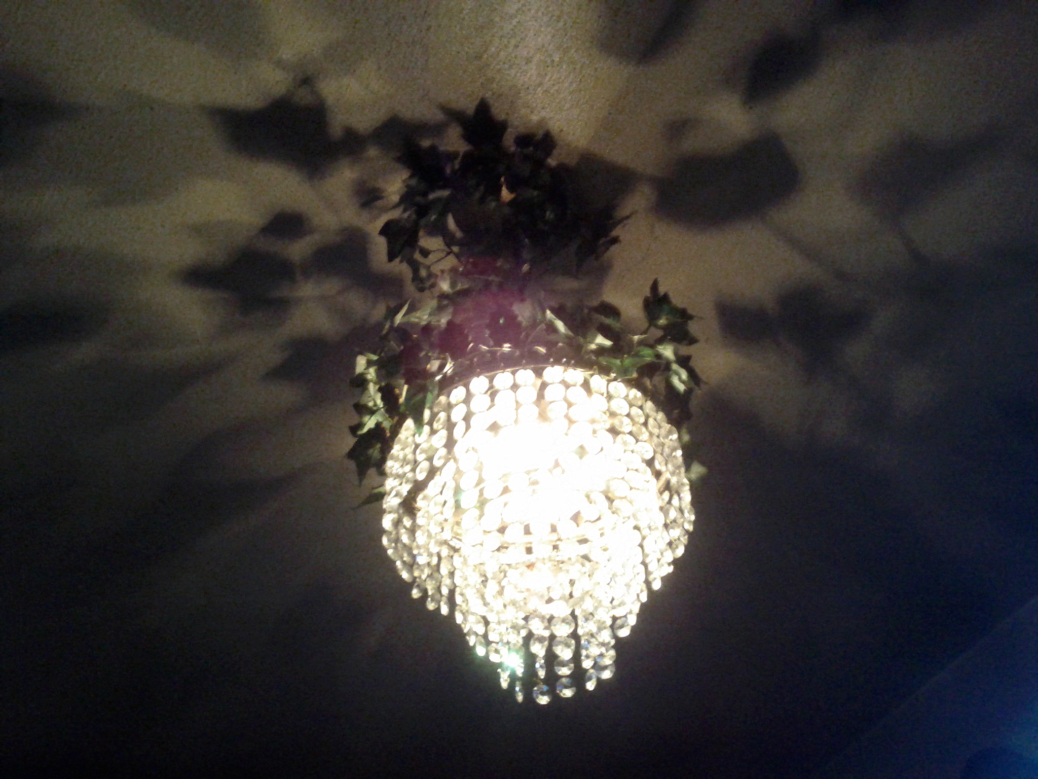 Google Nexus S sample photo. Tsu ns photography