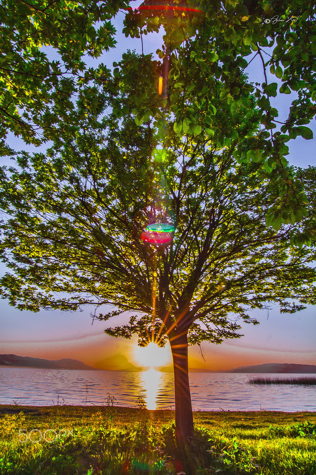 Canon EOS 650D (EOS Rebel T4i / EOS Kiss X6i) sample photo. Tree sunset photography